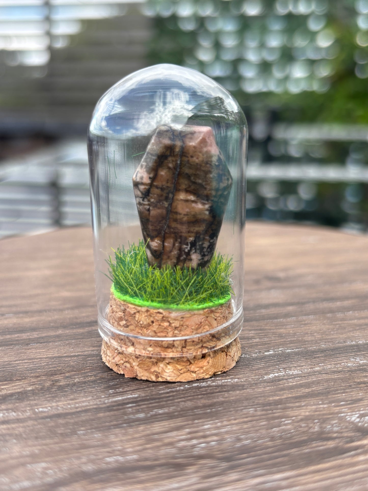 Mini grave terrarium