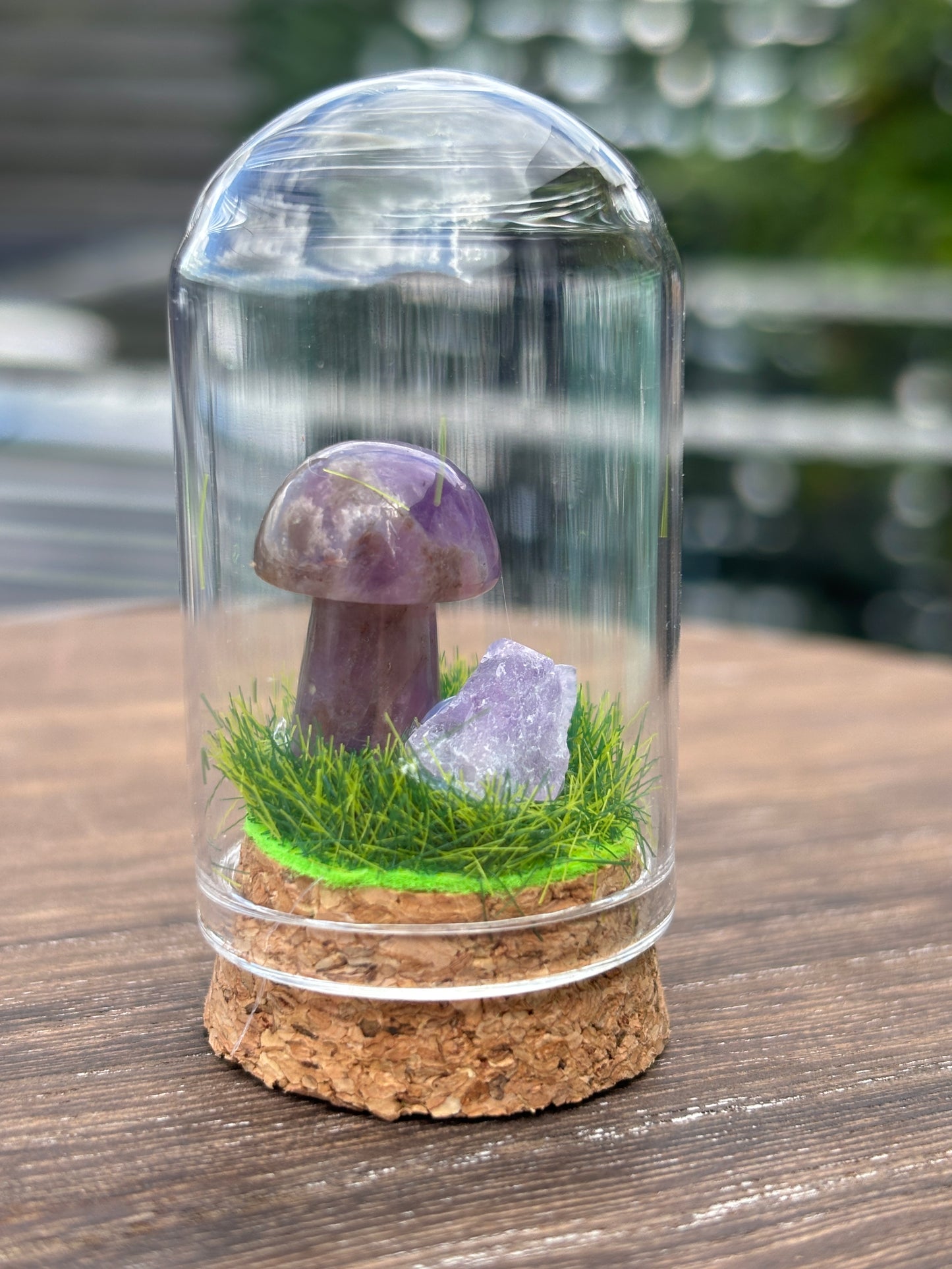 Mini mushroom terrarium