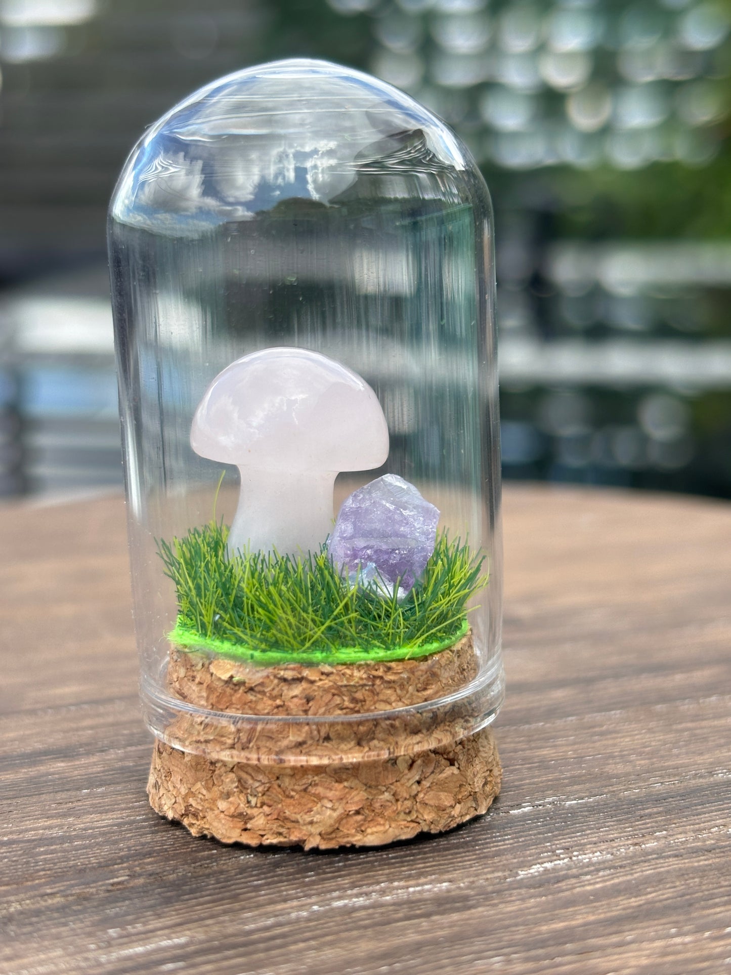 Mini mushroom terrarium