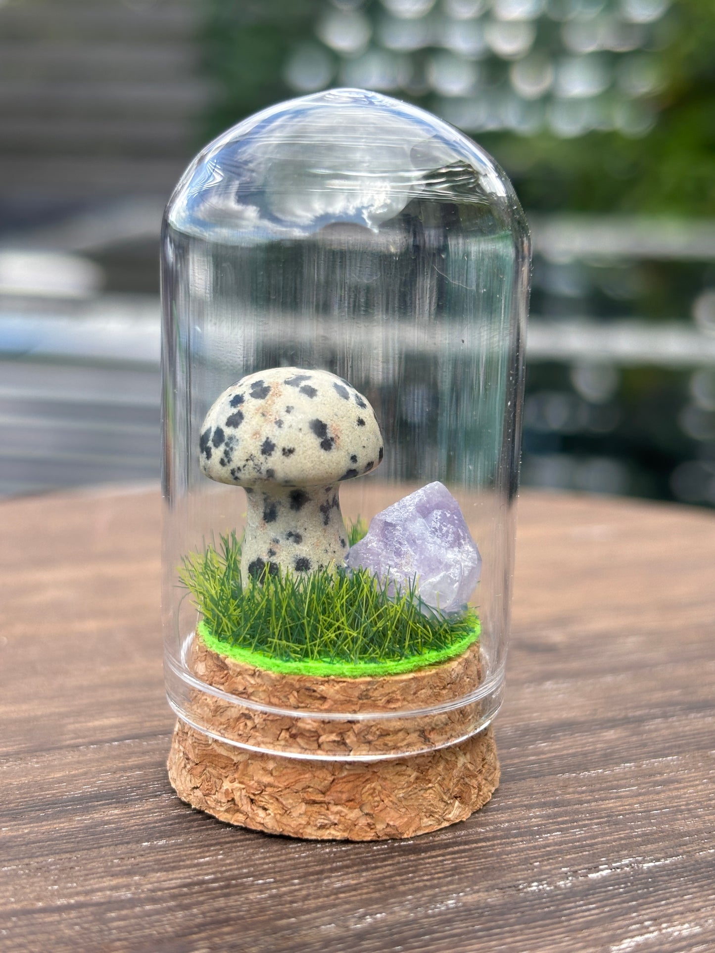 Mini mushroom terrarium