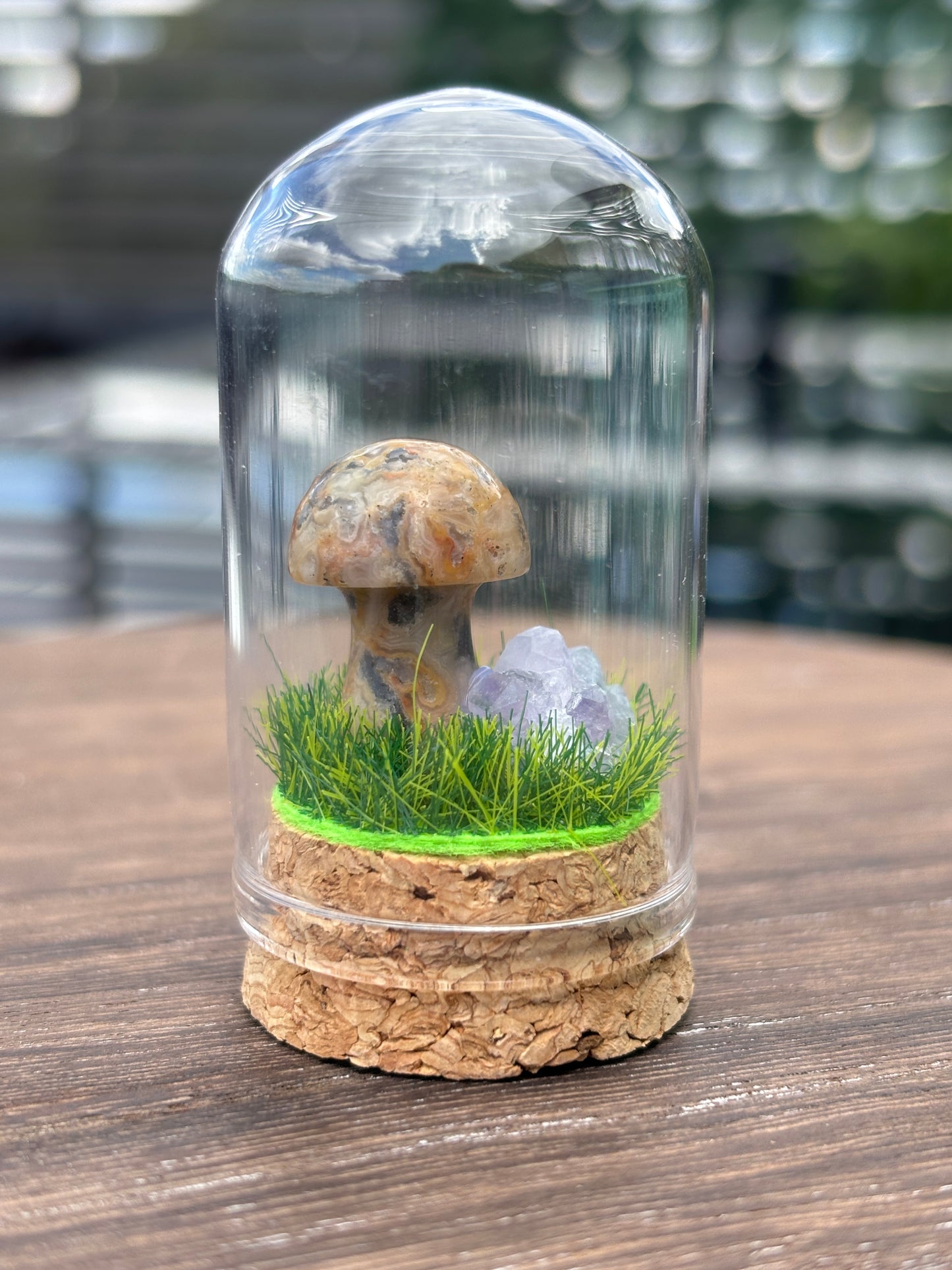 Mini mushroom terrarium