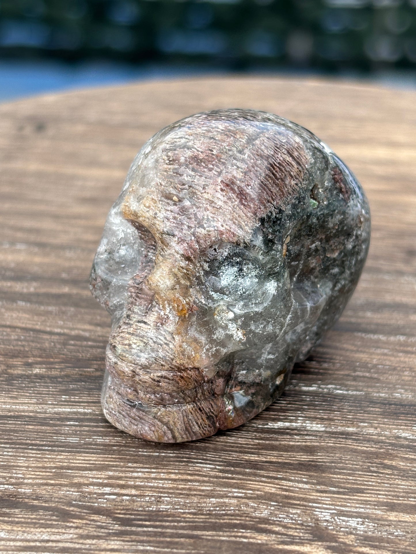 Skulls - various materials