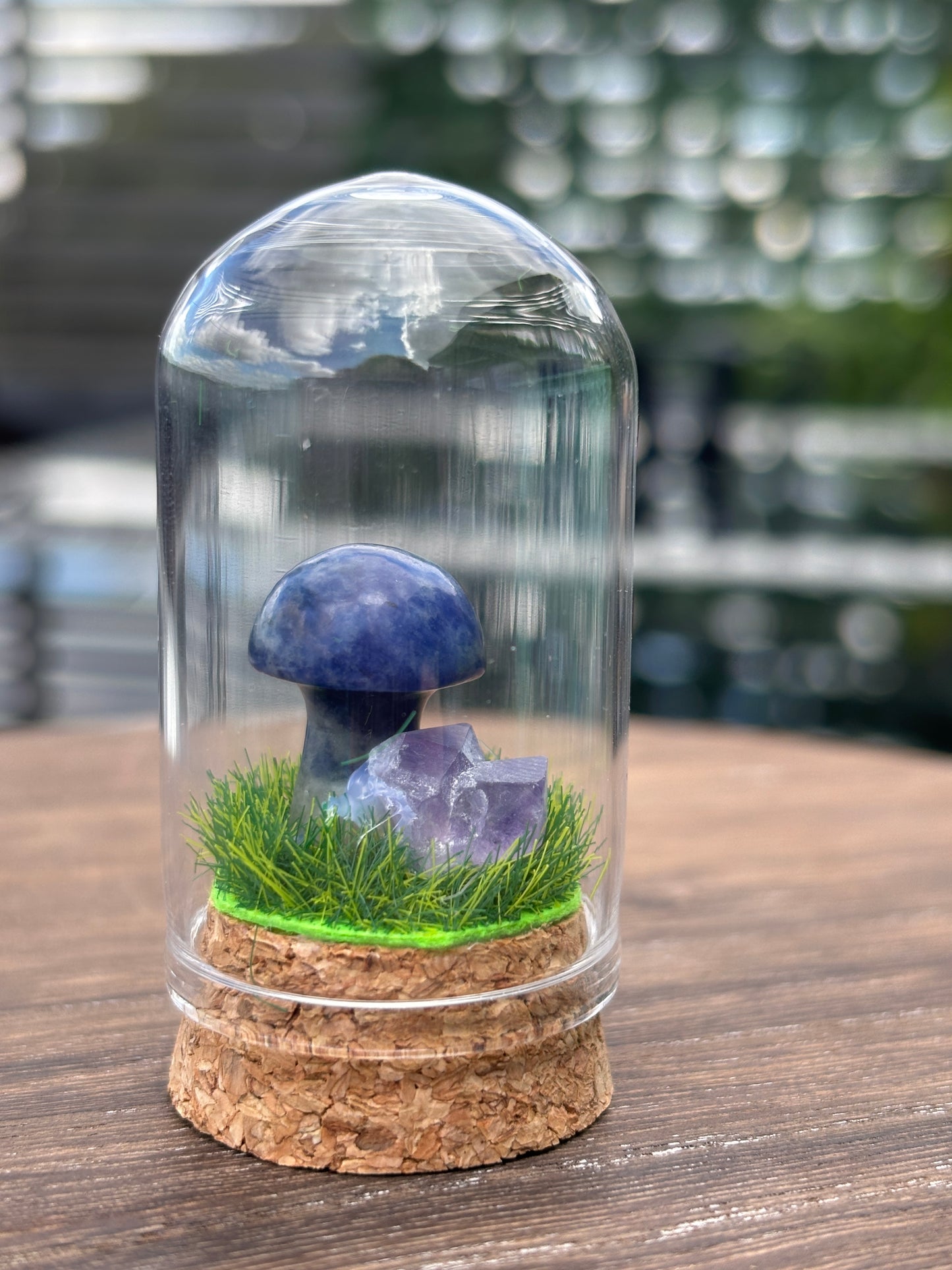 Mini mushroom terrarium