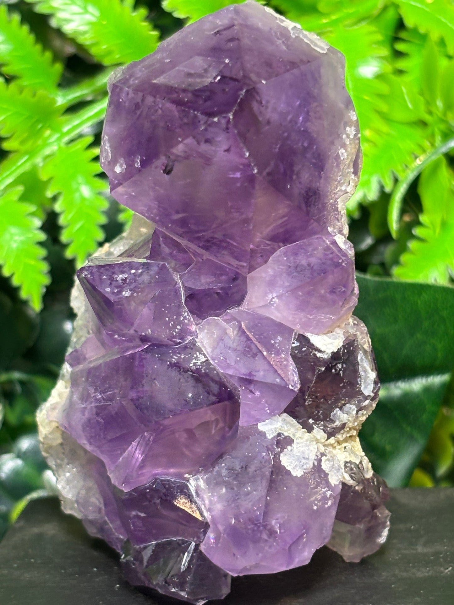 Amethyst cluster on wooden base - C