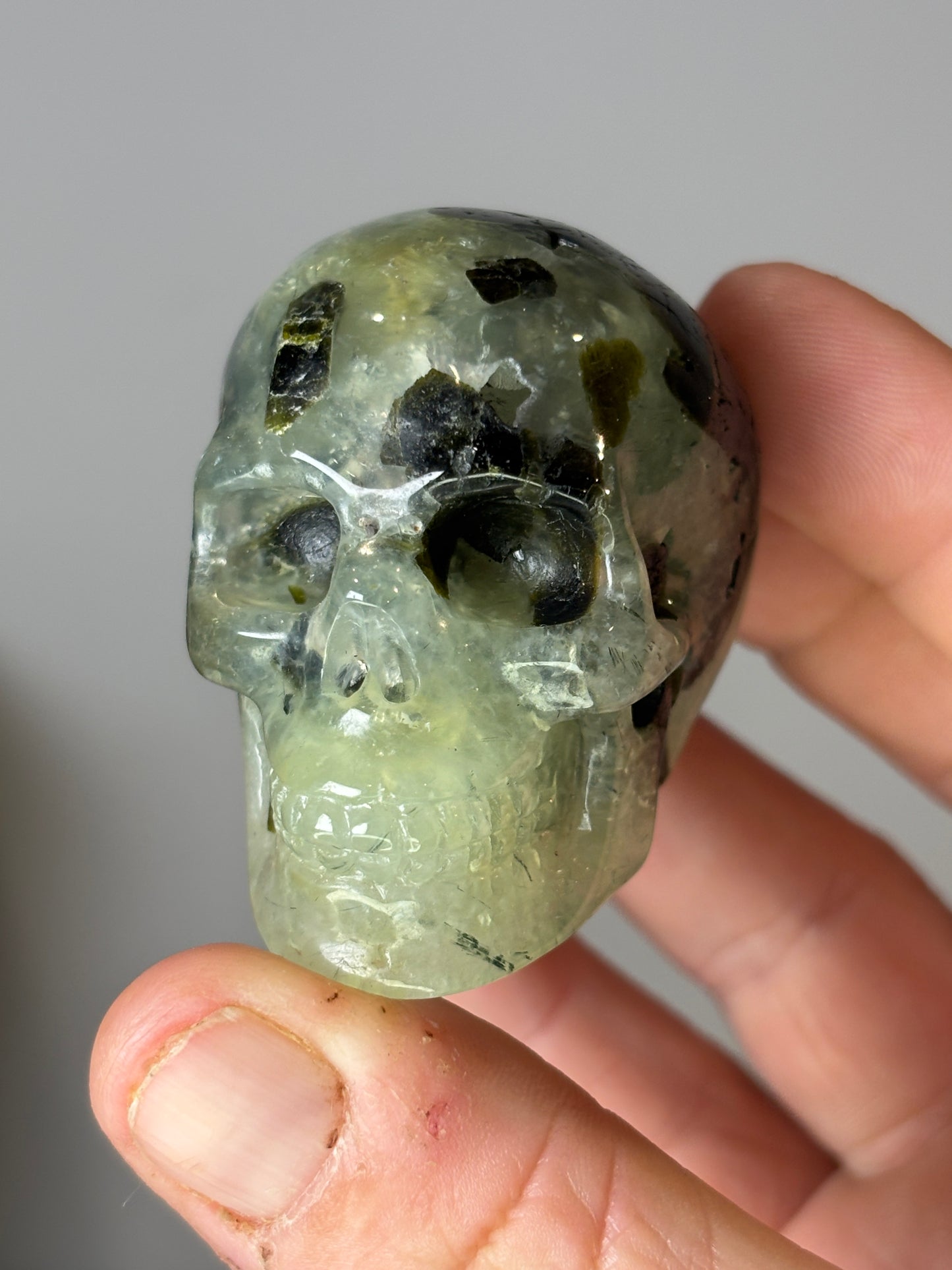 Skulls - various materials