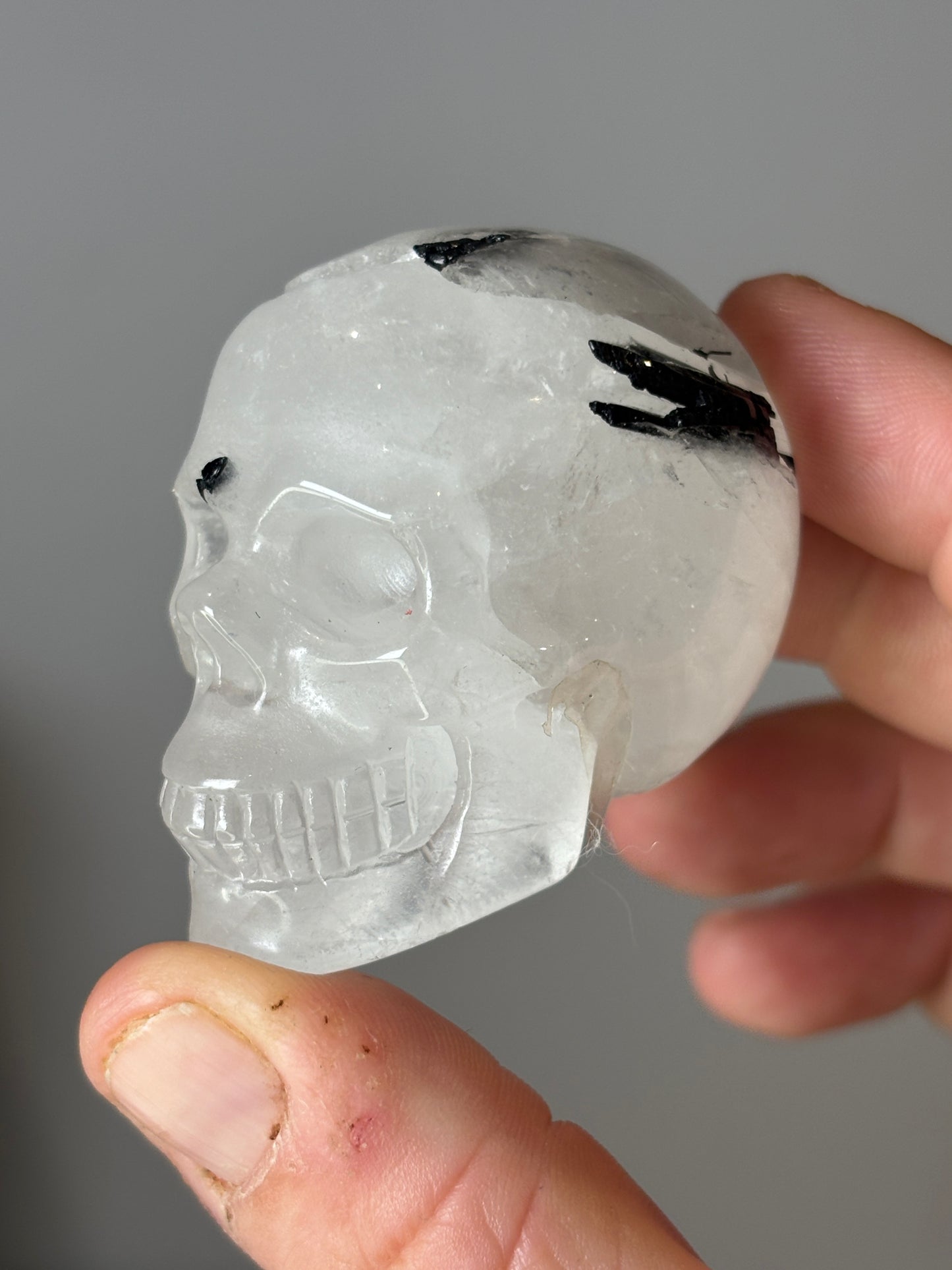 Skulls - various materials