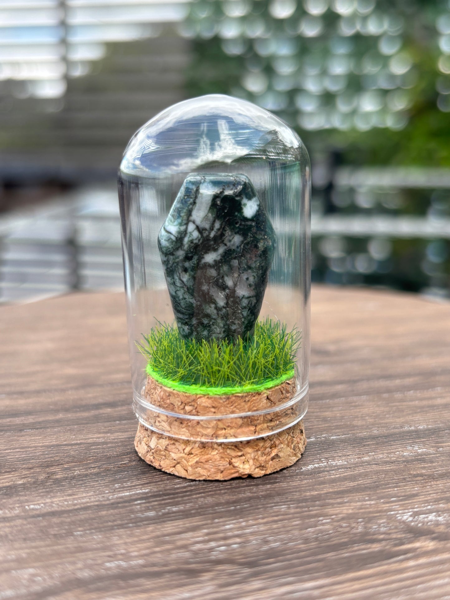 Mini grave terrarium