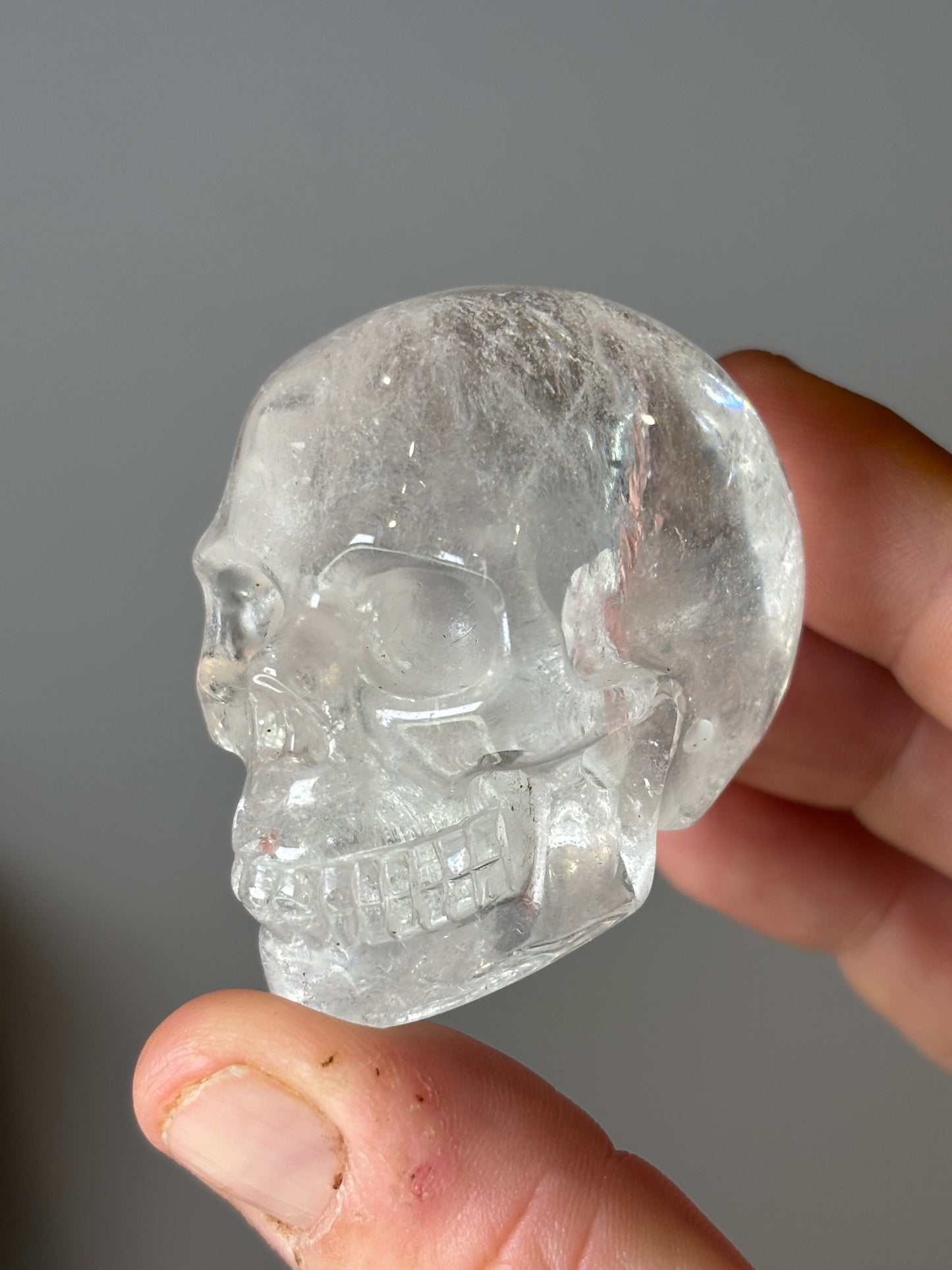 Skulls - various materials