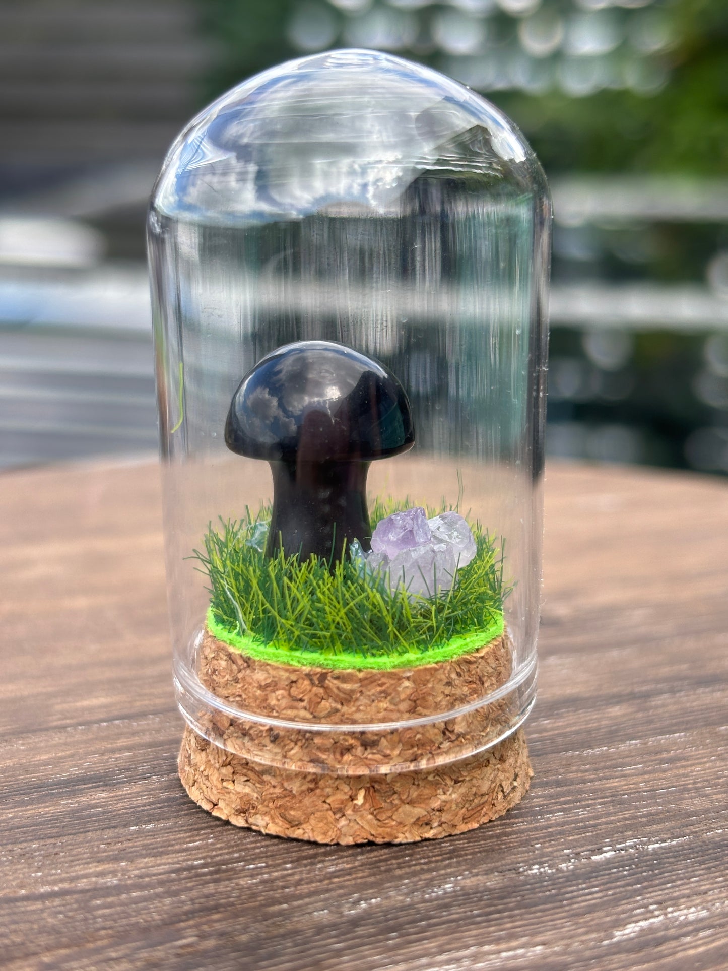 Mini mushroom terrarium