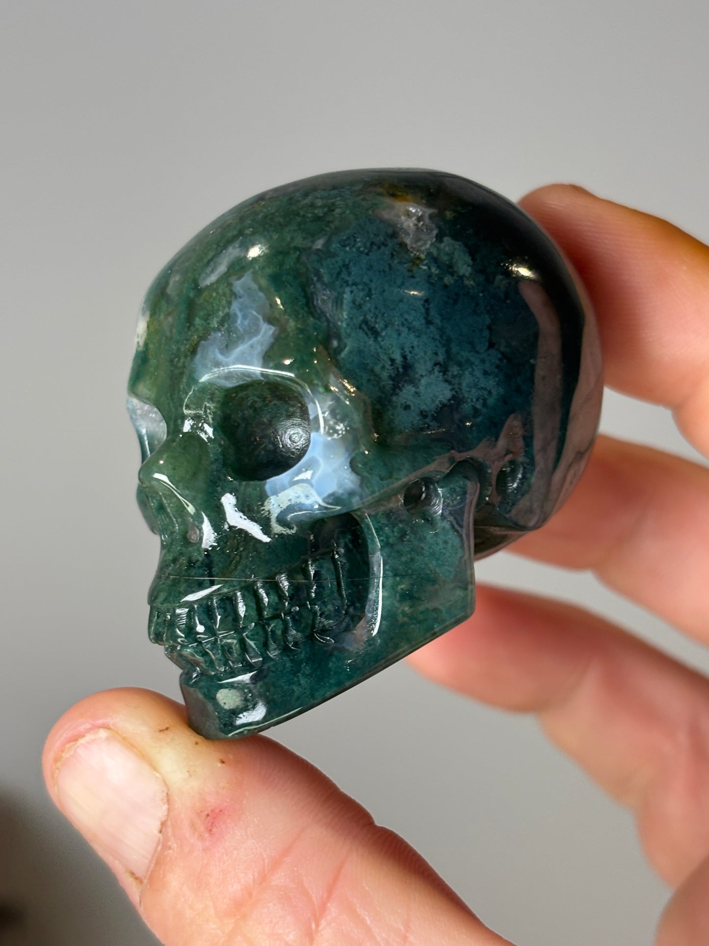 Skulls - various materials