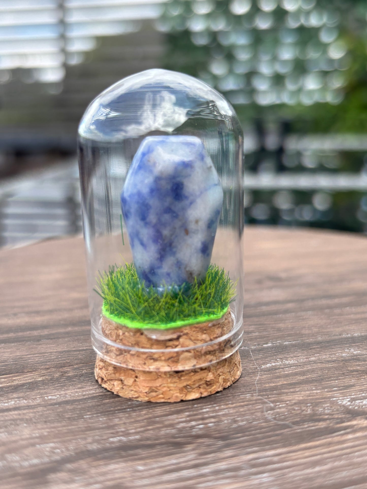 Mini grave terrarium