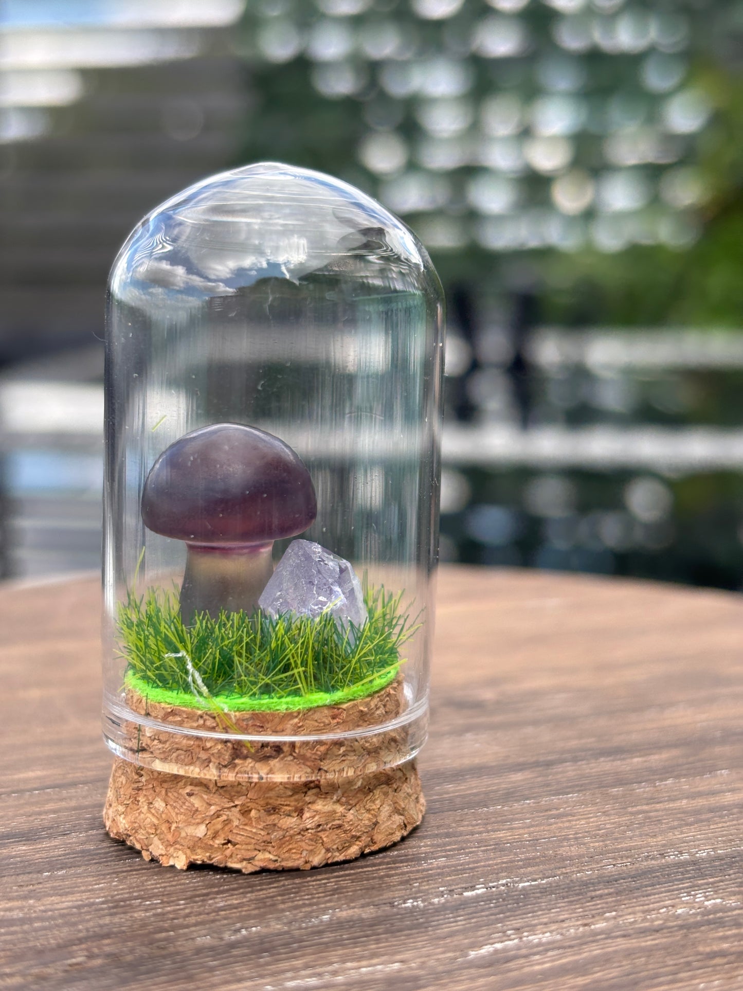 Mini mushroom terrarium