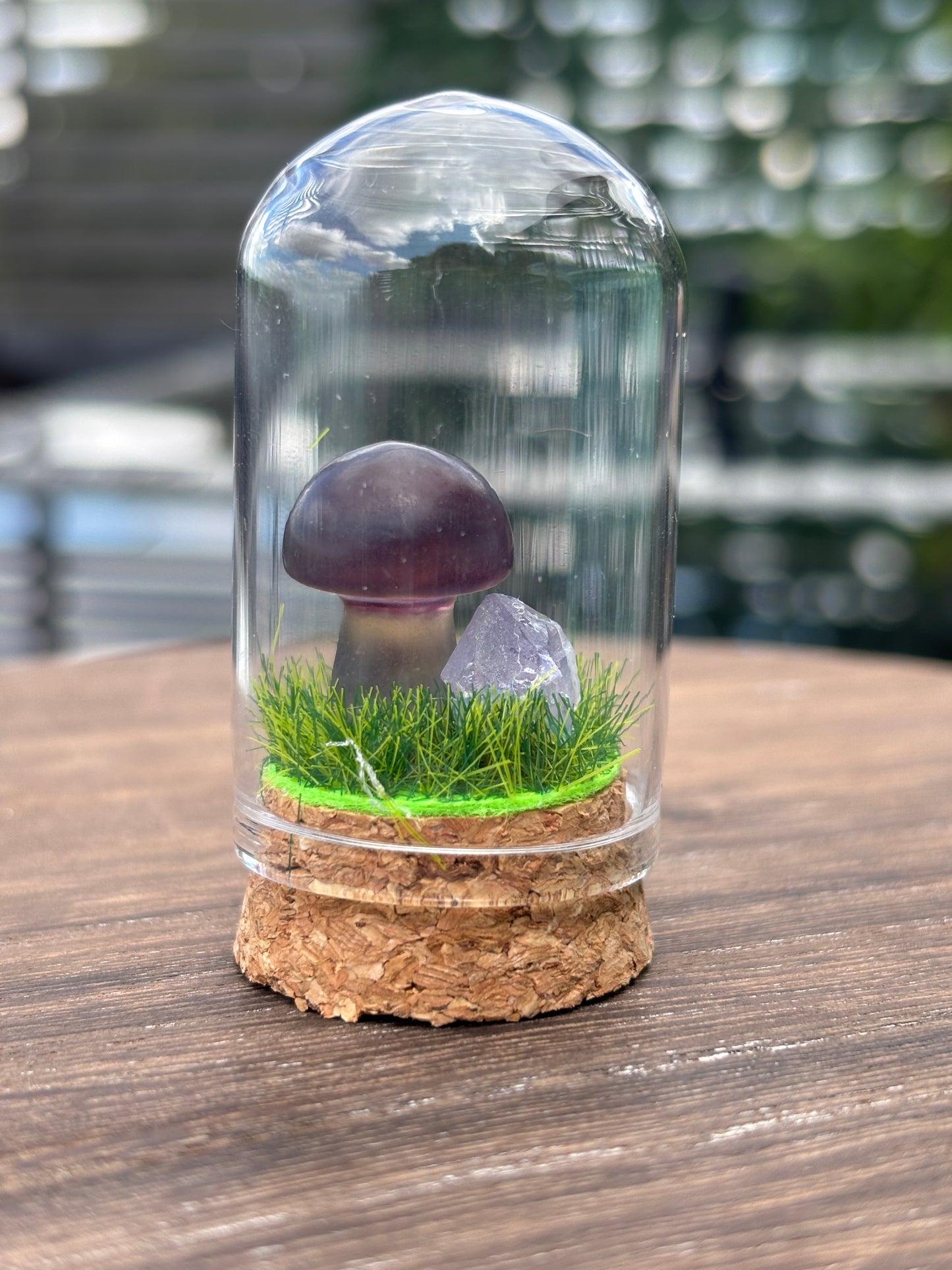 Mini mushroom terrarium