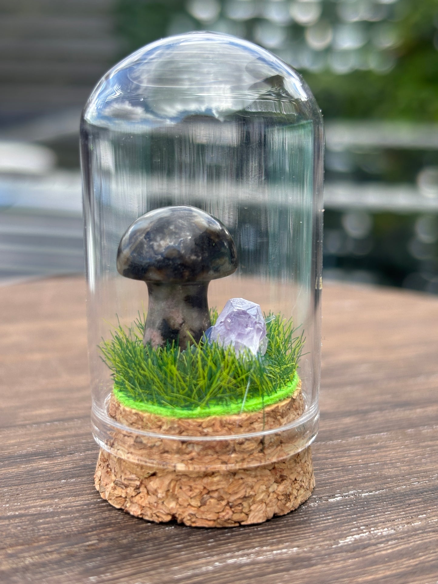 Mini mushroom terrarium