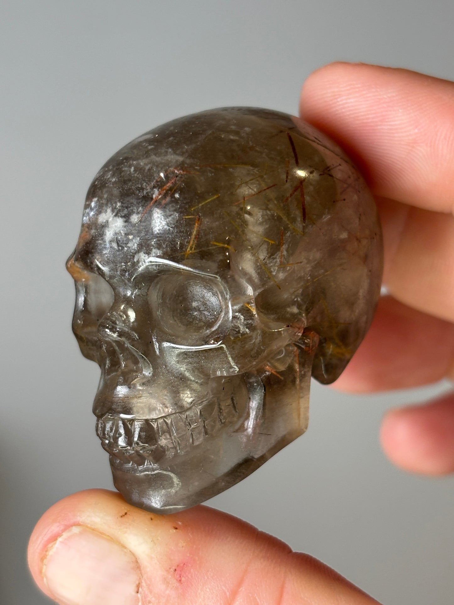 Skulls - various materials