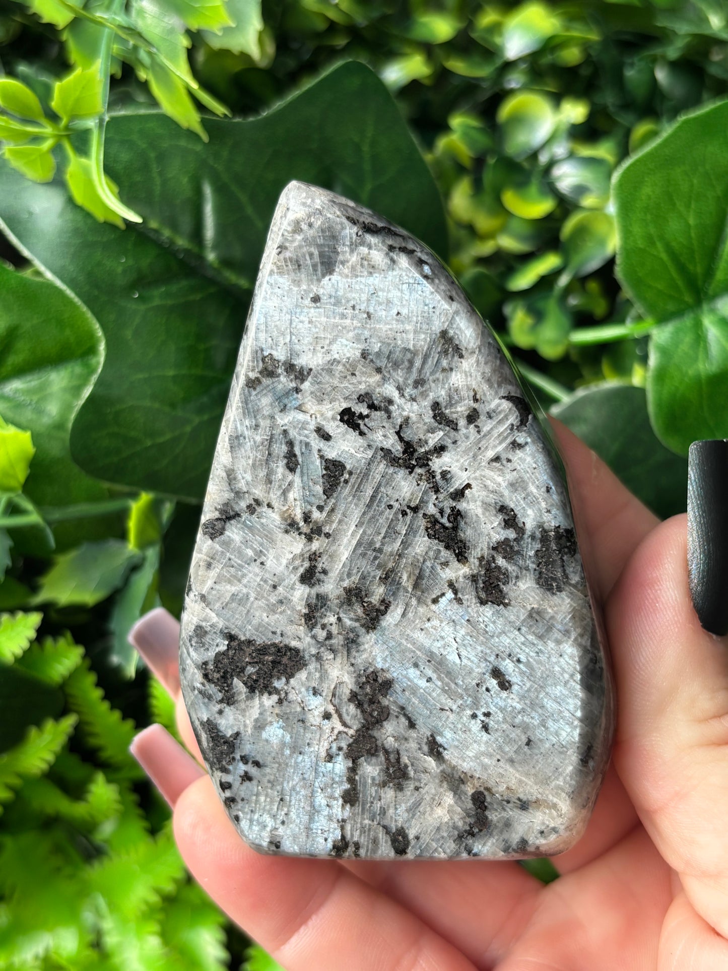 Larvikite freeforms