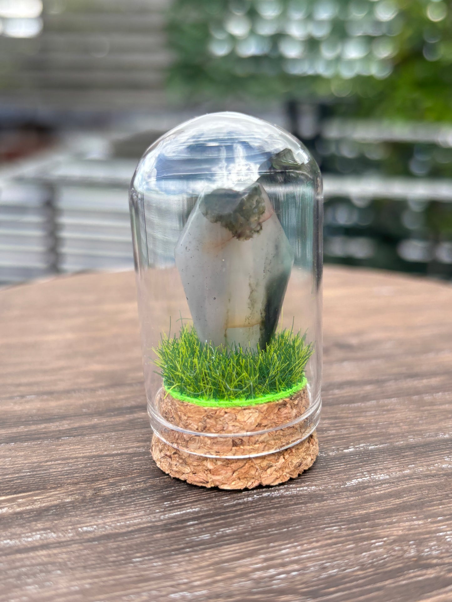 Mini grave terrarium