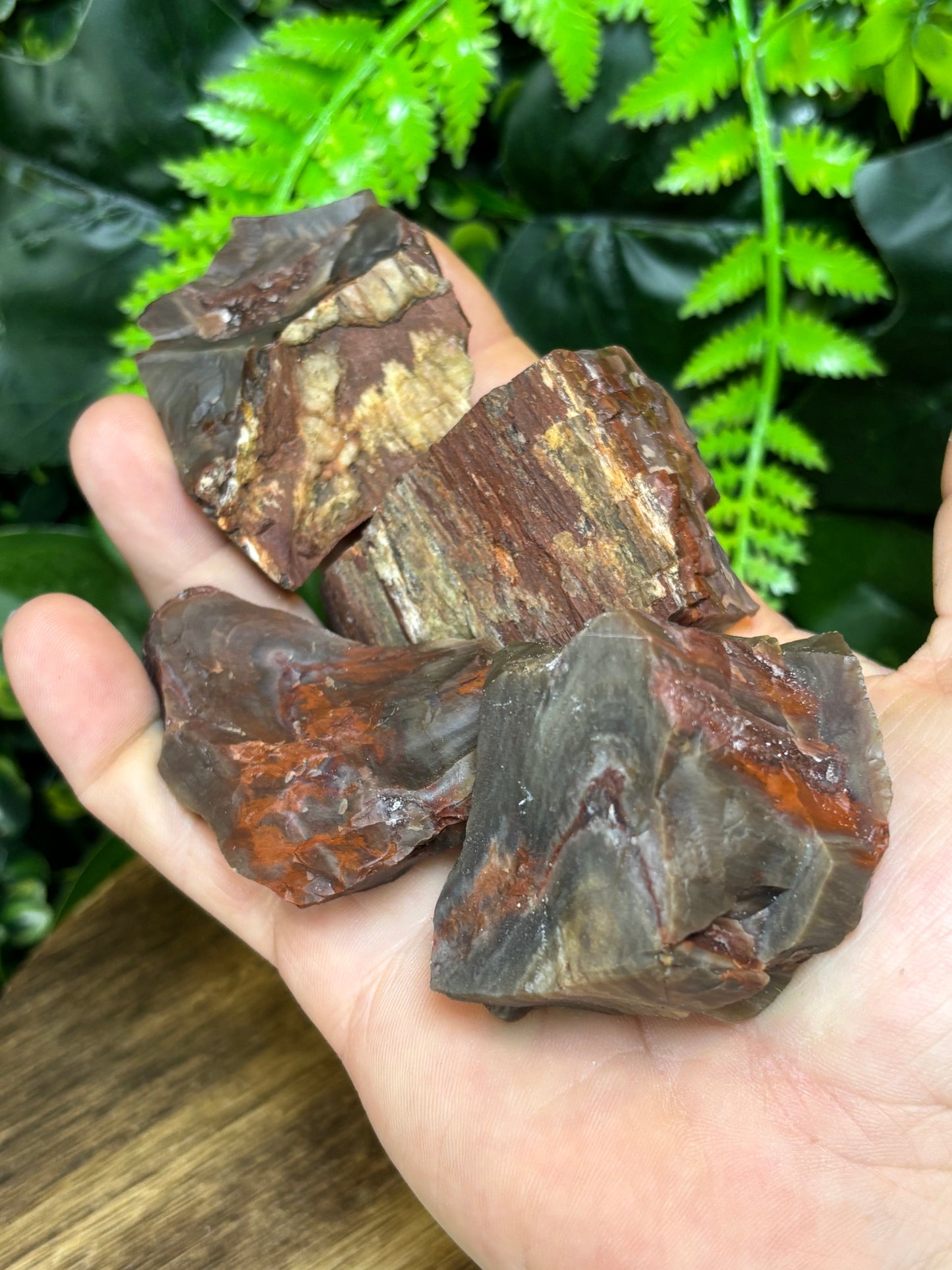 Raw Petrified Wood