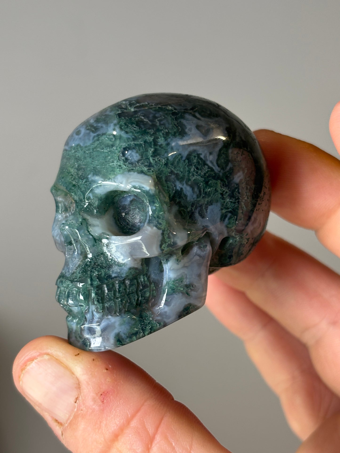 Skulls - various materials