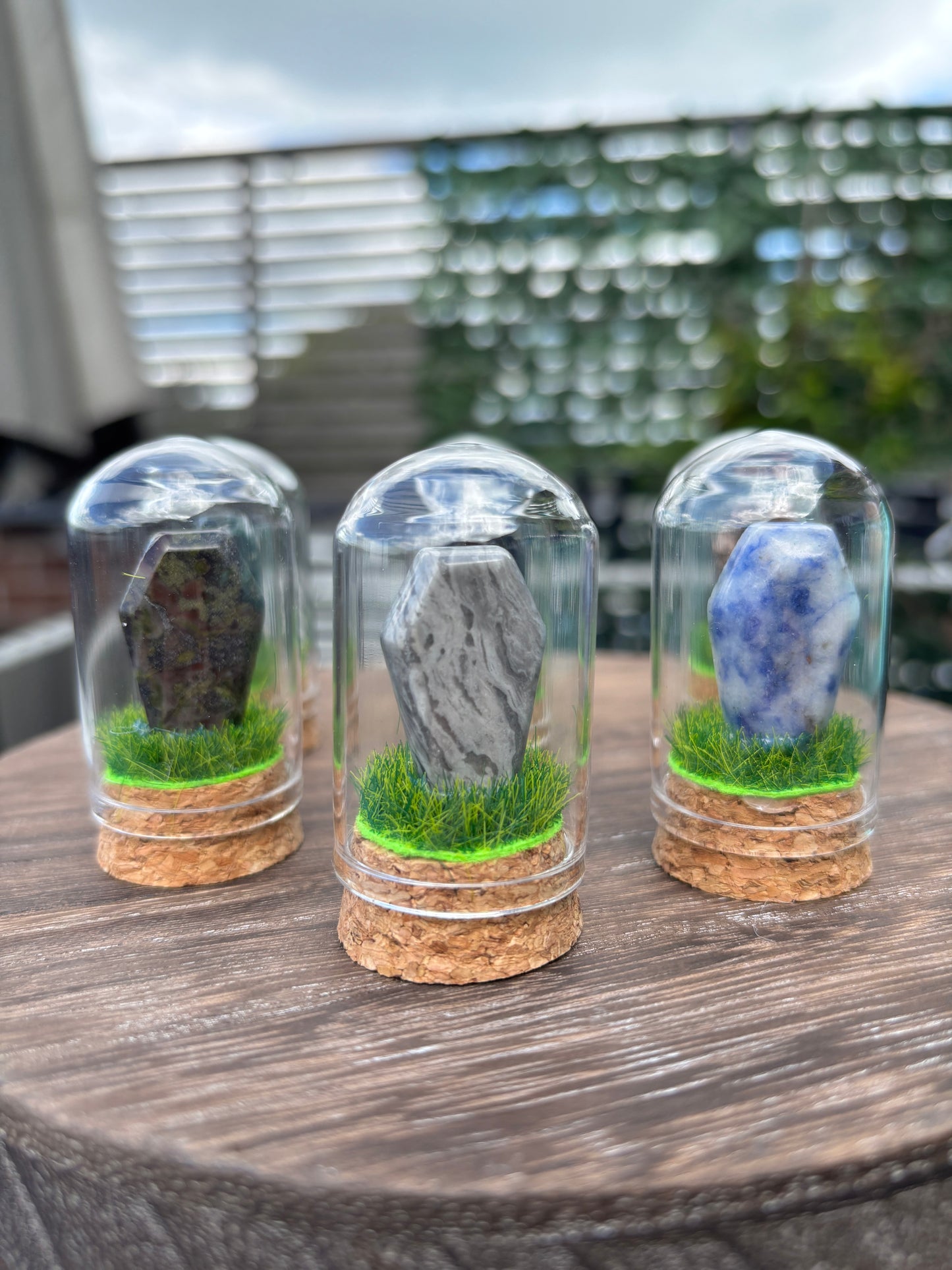 Mini grave terrarium