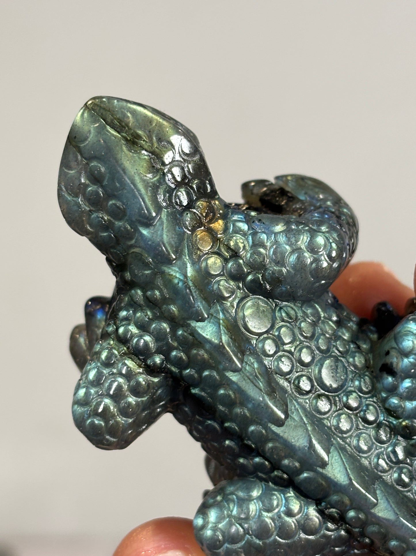 High quality Labradorite lizard