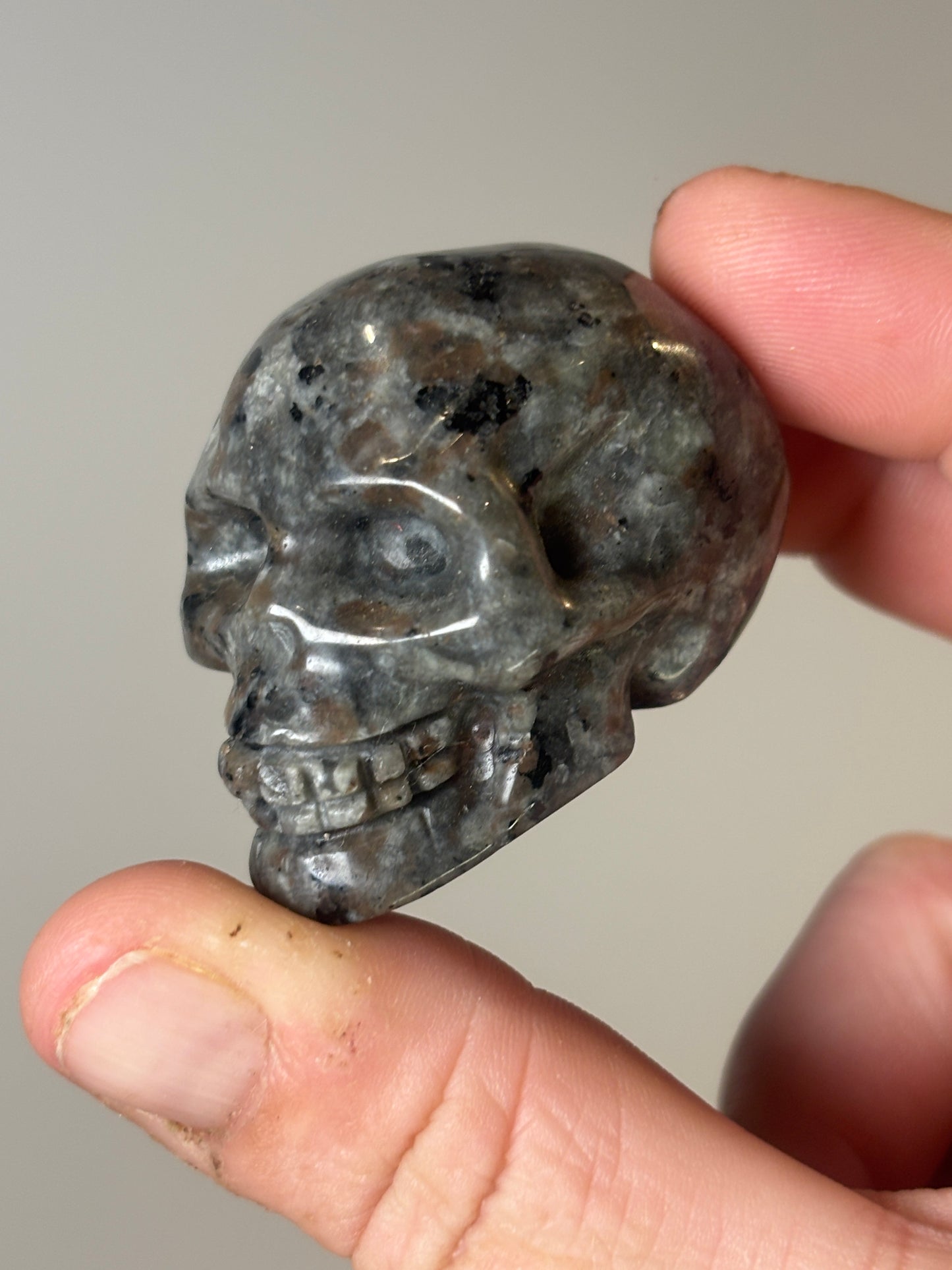 Skulls - various materials