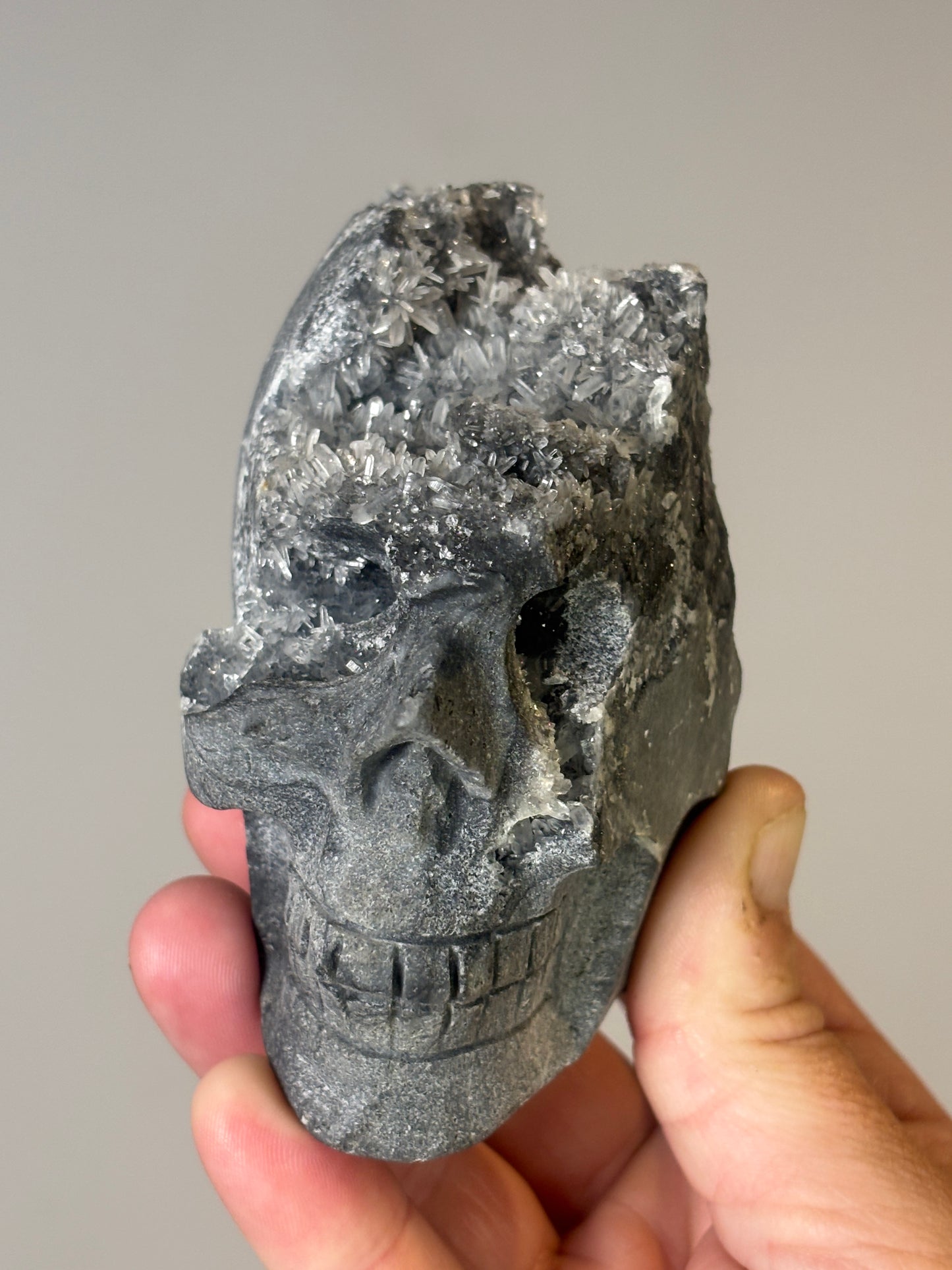 Skulls - various materials