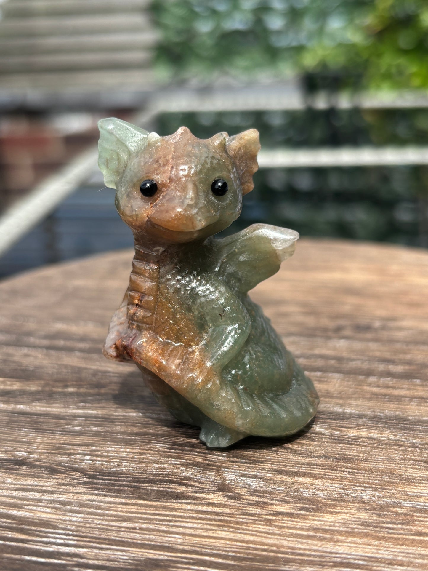 Baby dragons- medium
