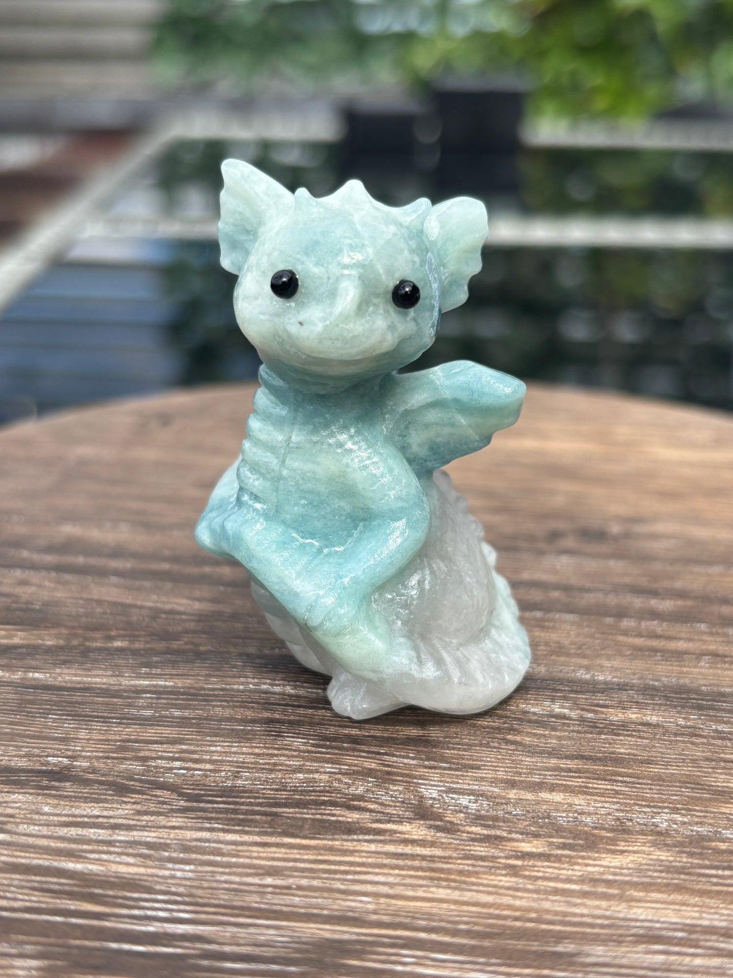 Baby dragons- medium