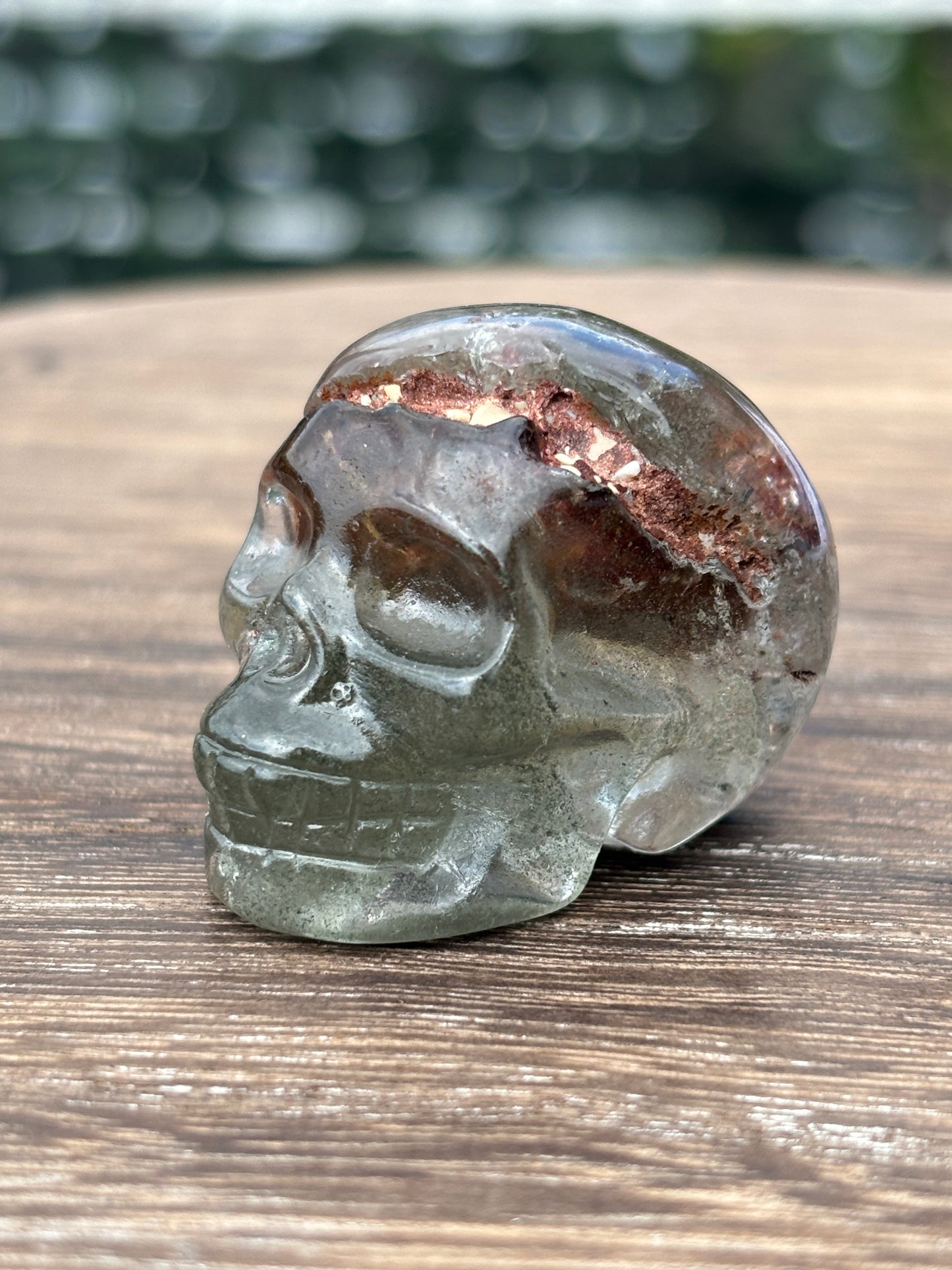 Skulls - various materials