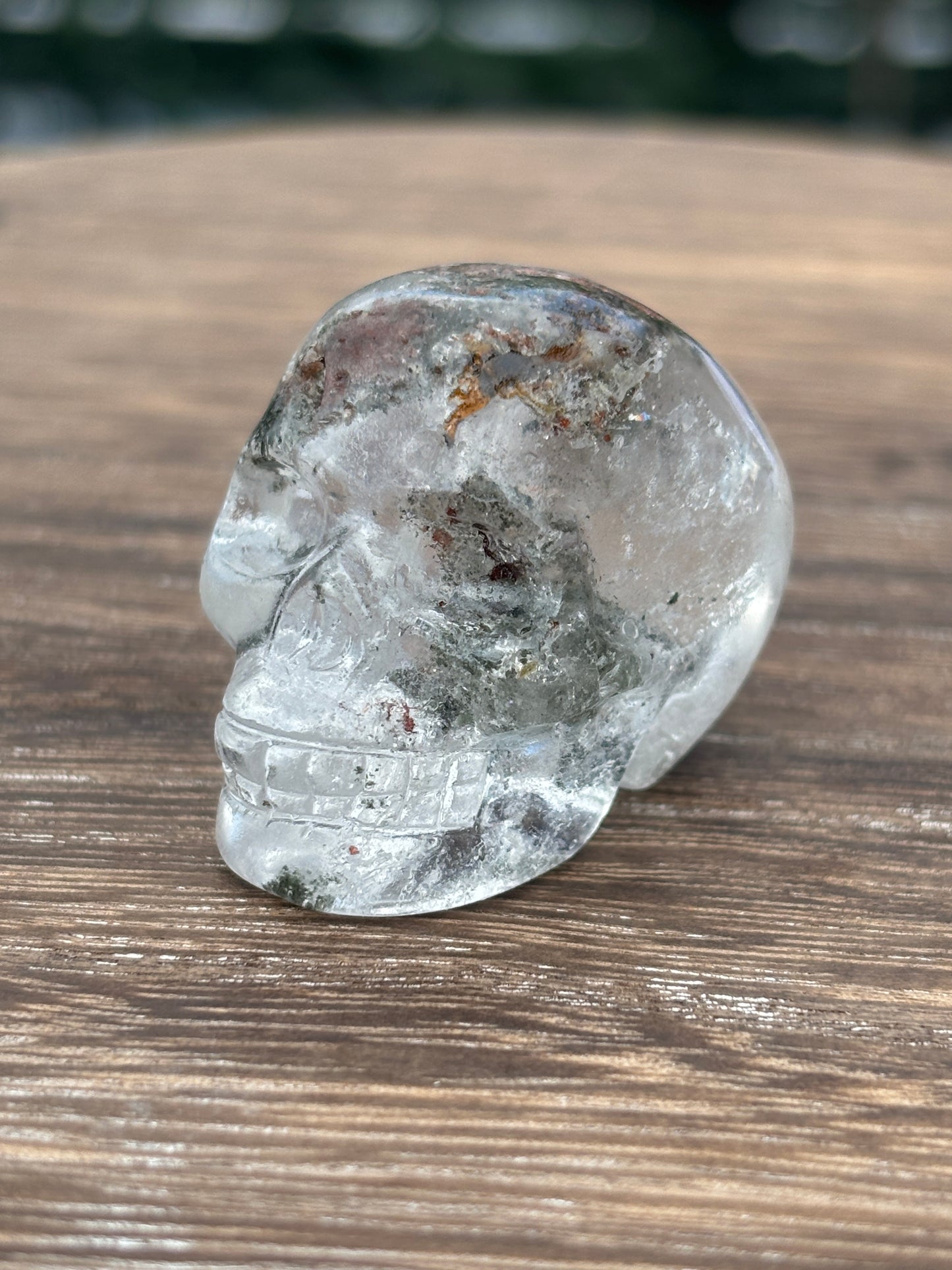 Skulls - various materials