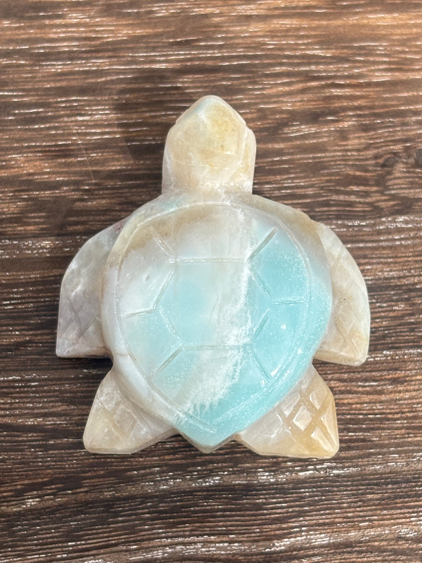 Sea turtles - various materials