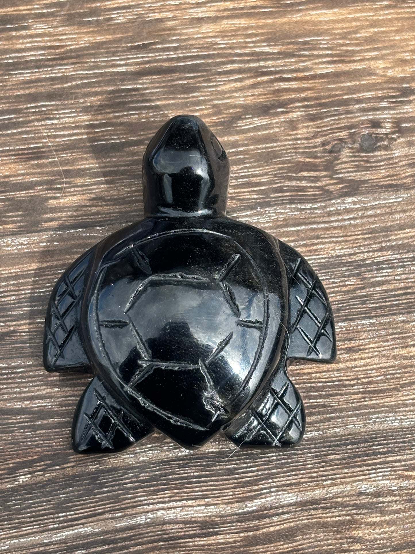 Sea turtles - various materials