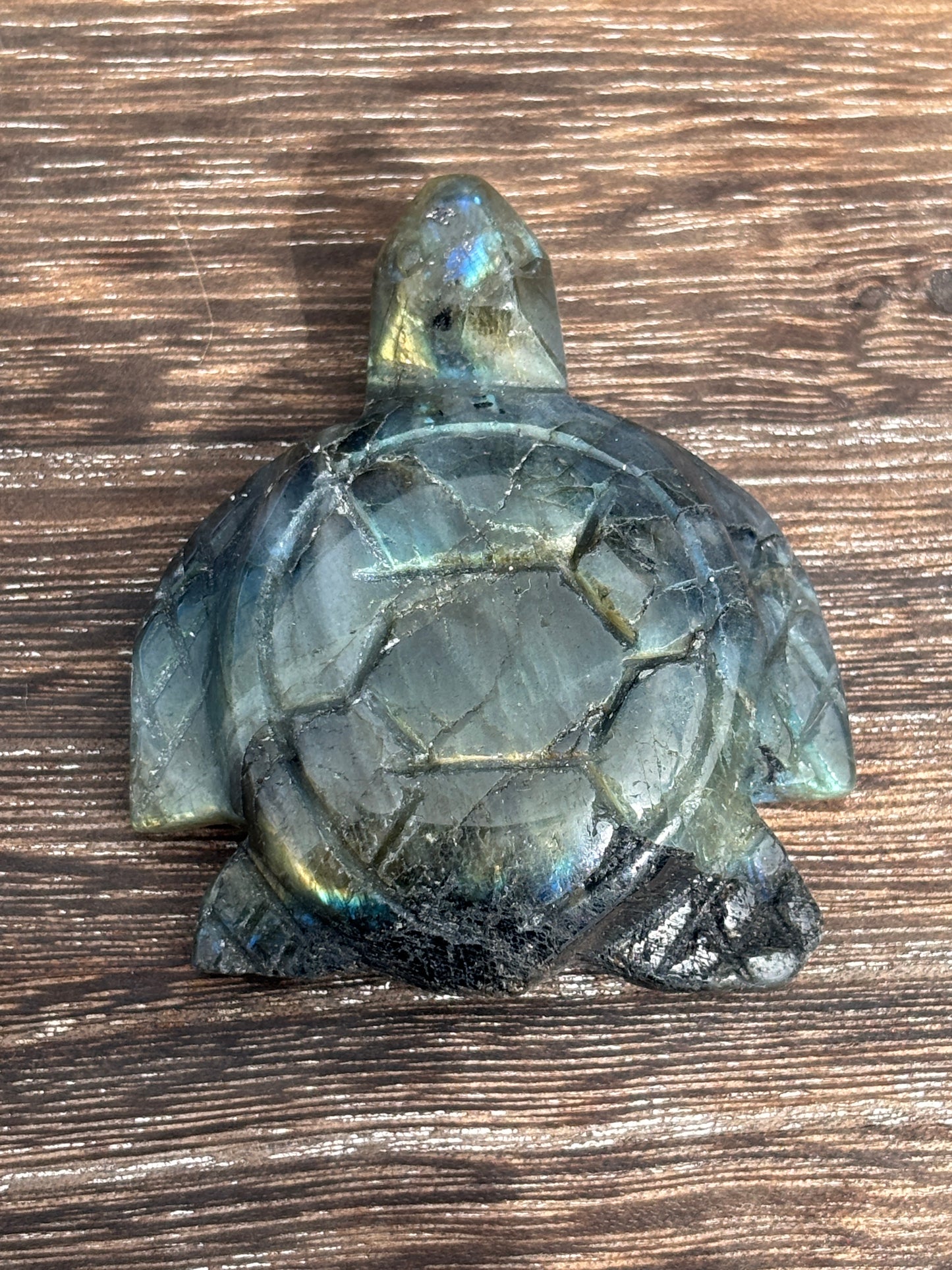 Sea turtles - various materials