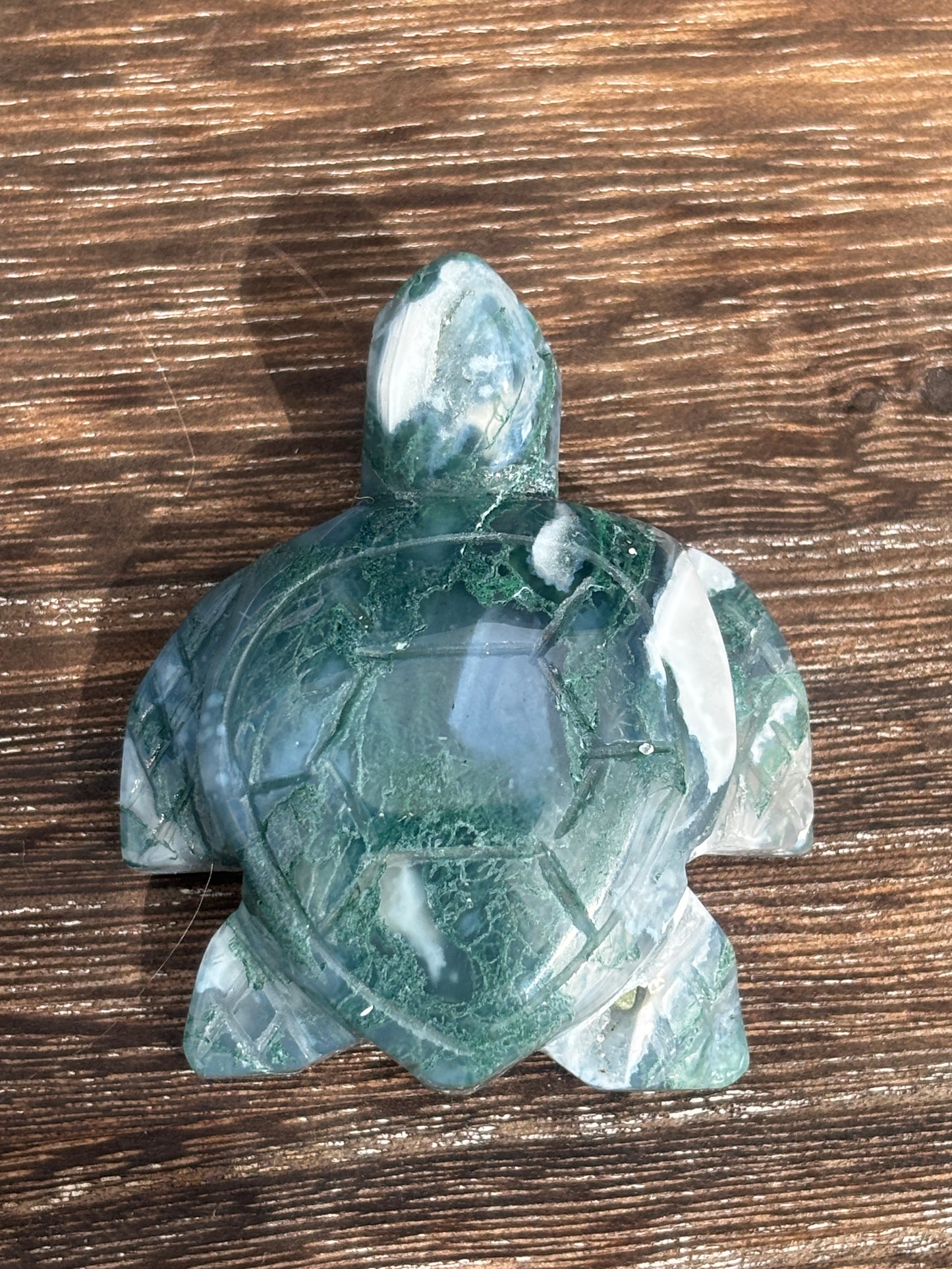 Sea turtles - various materials