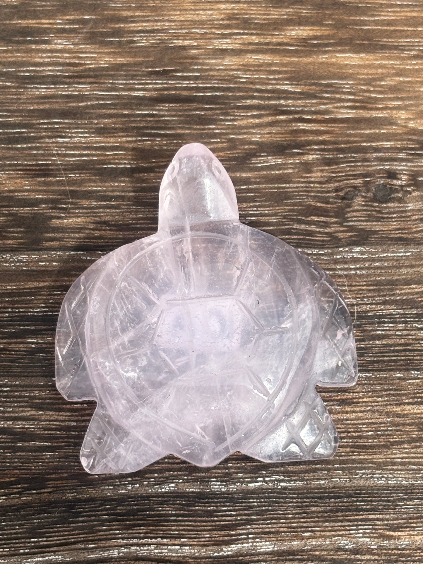 Sea turtles - various materials