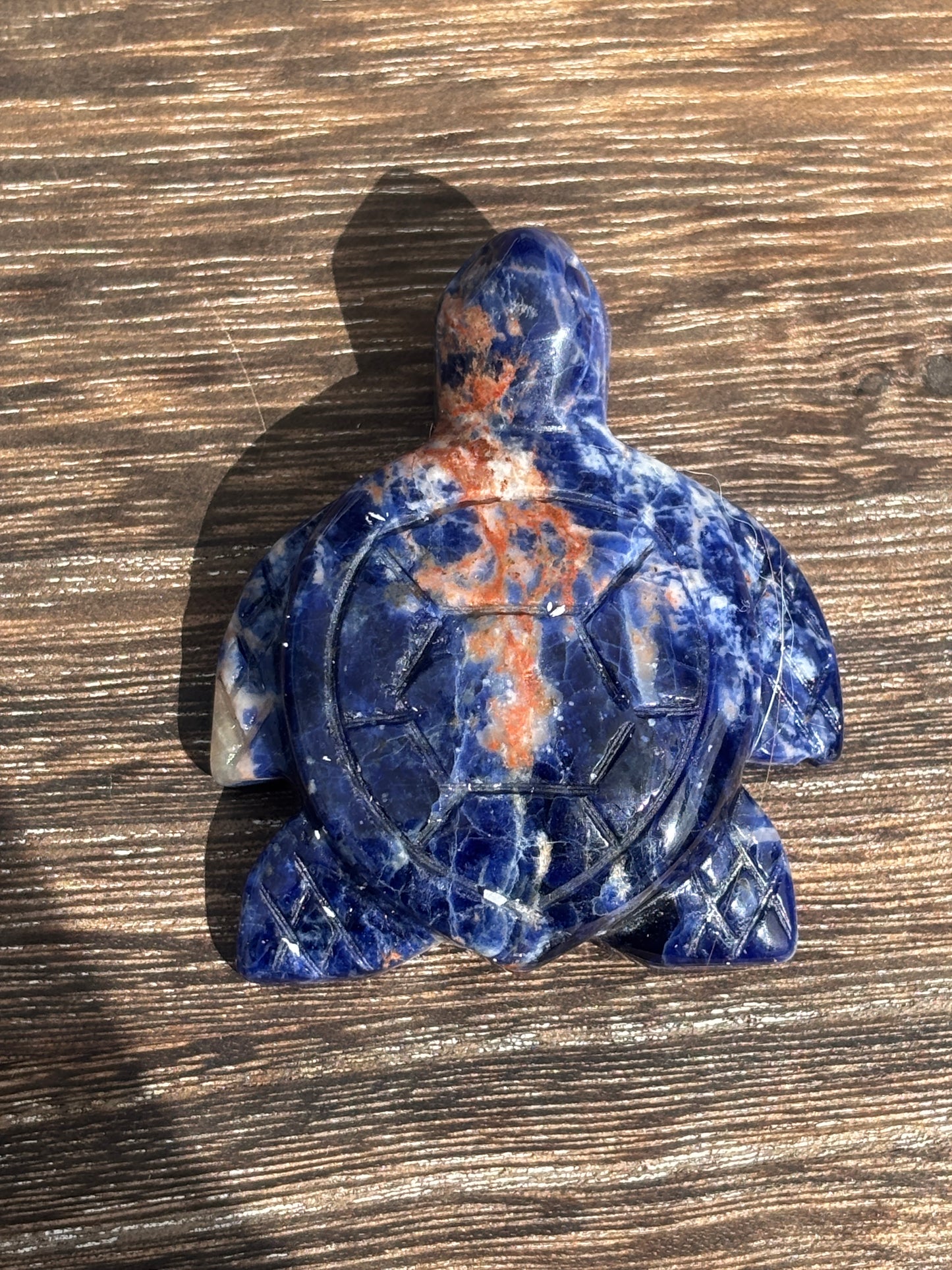 Sea turtles - various materials
