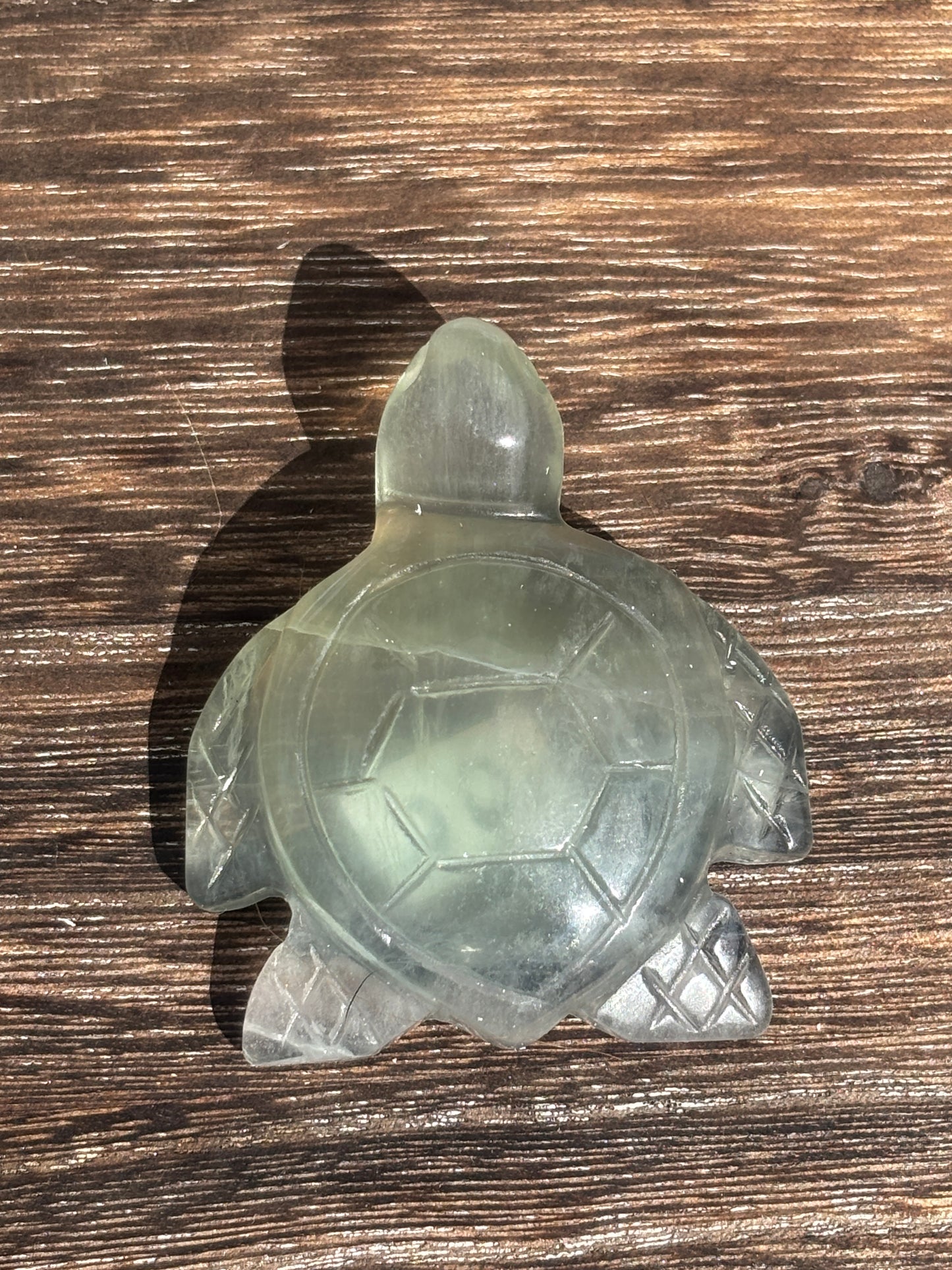 Sea turtles - various materials