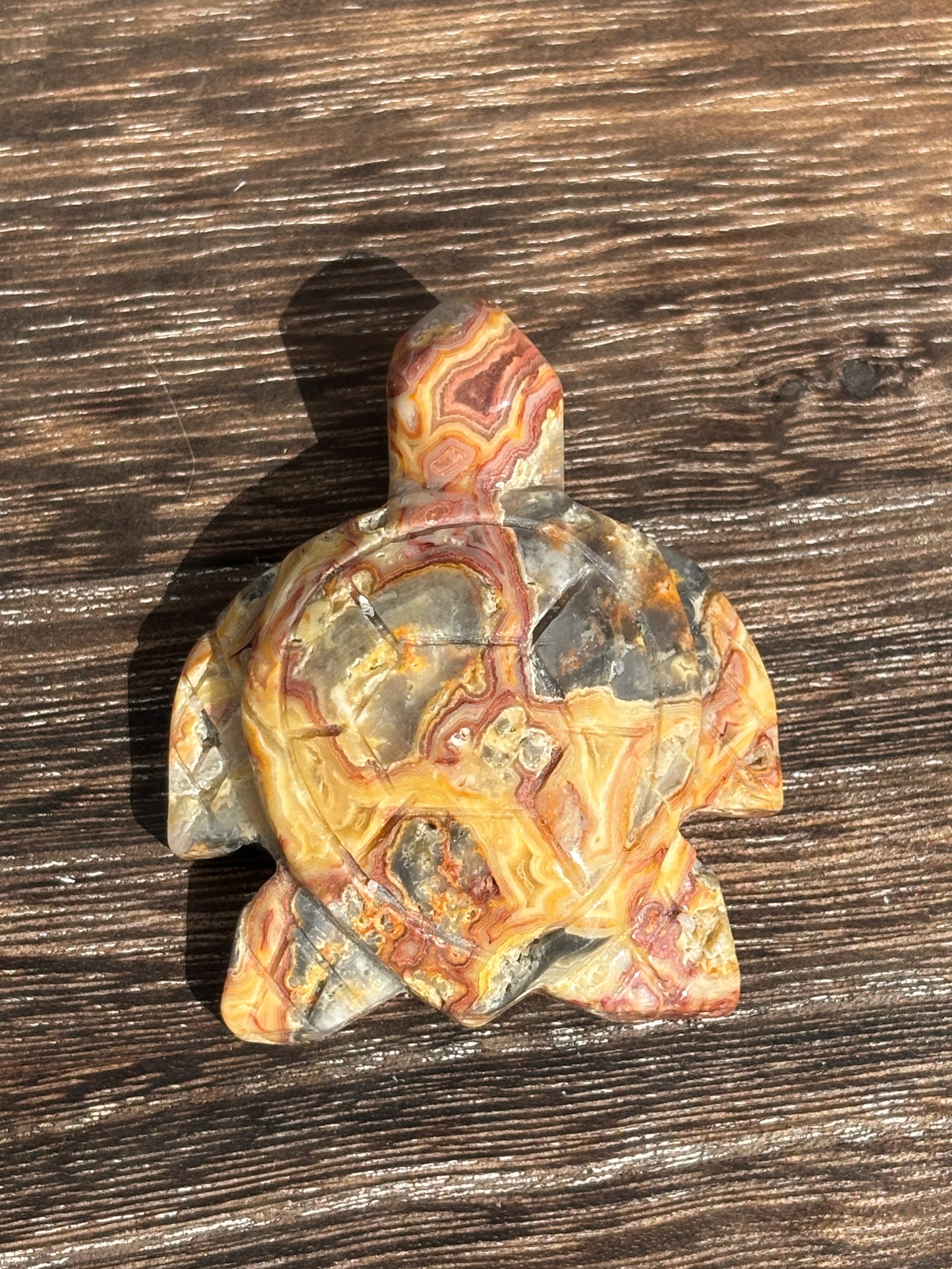 Sea turtles - various materials