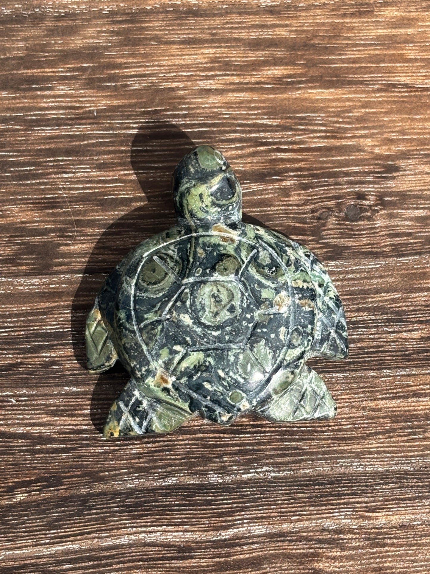 Sea turtles - various materials