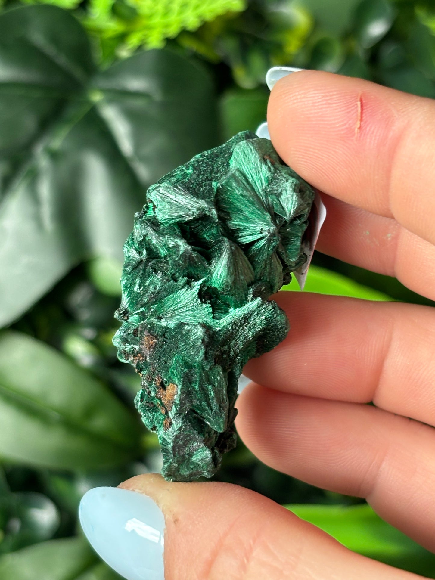 Fibrous Malachite