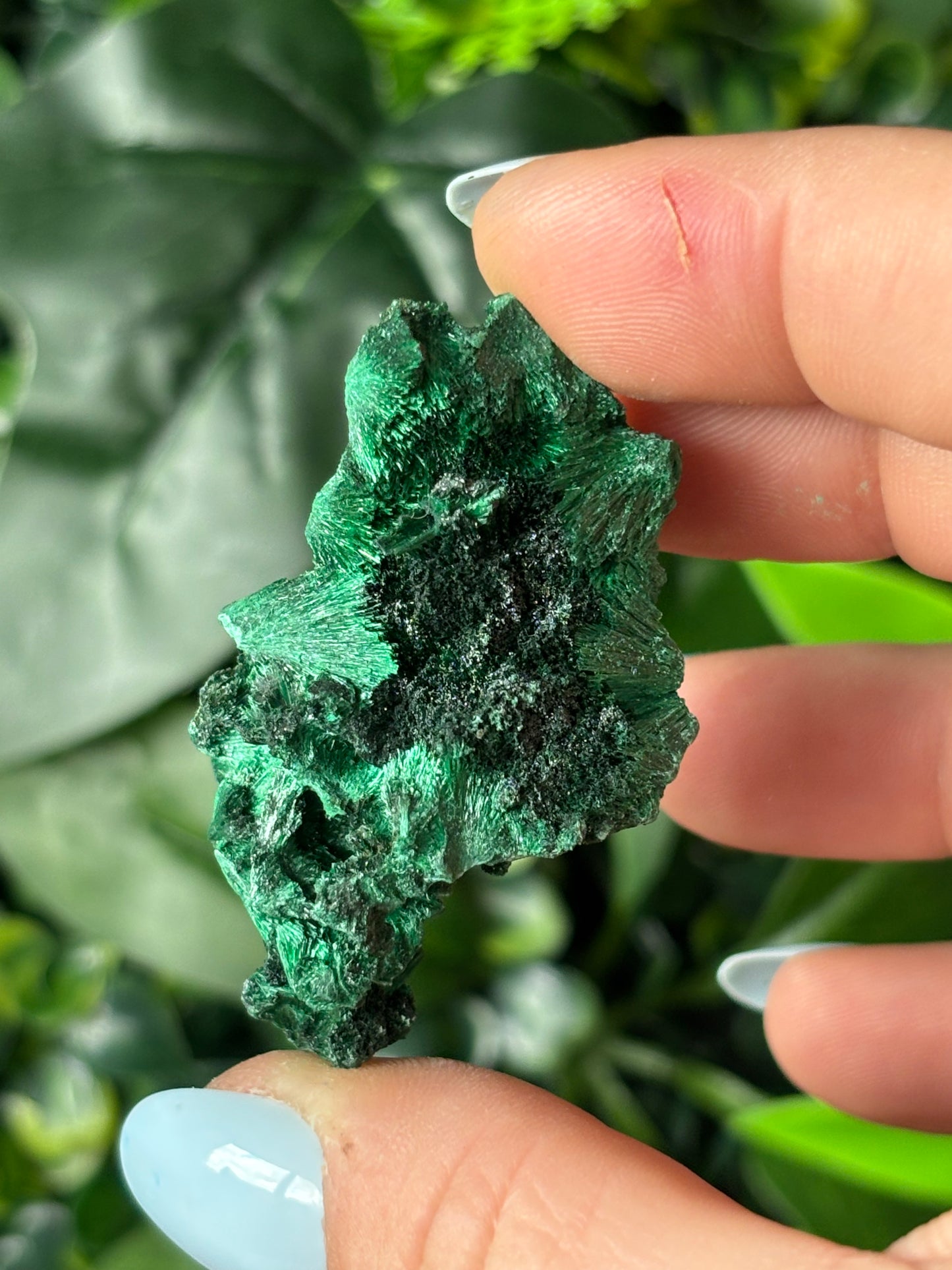 Fibrous Malachite