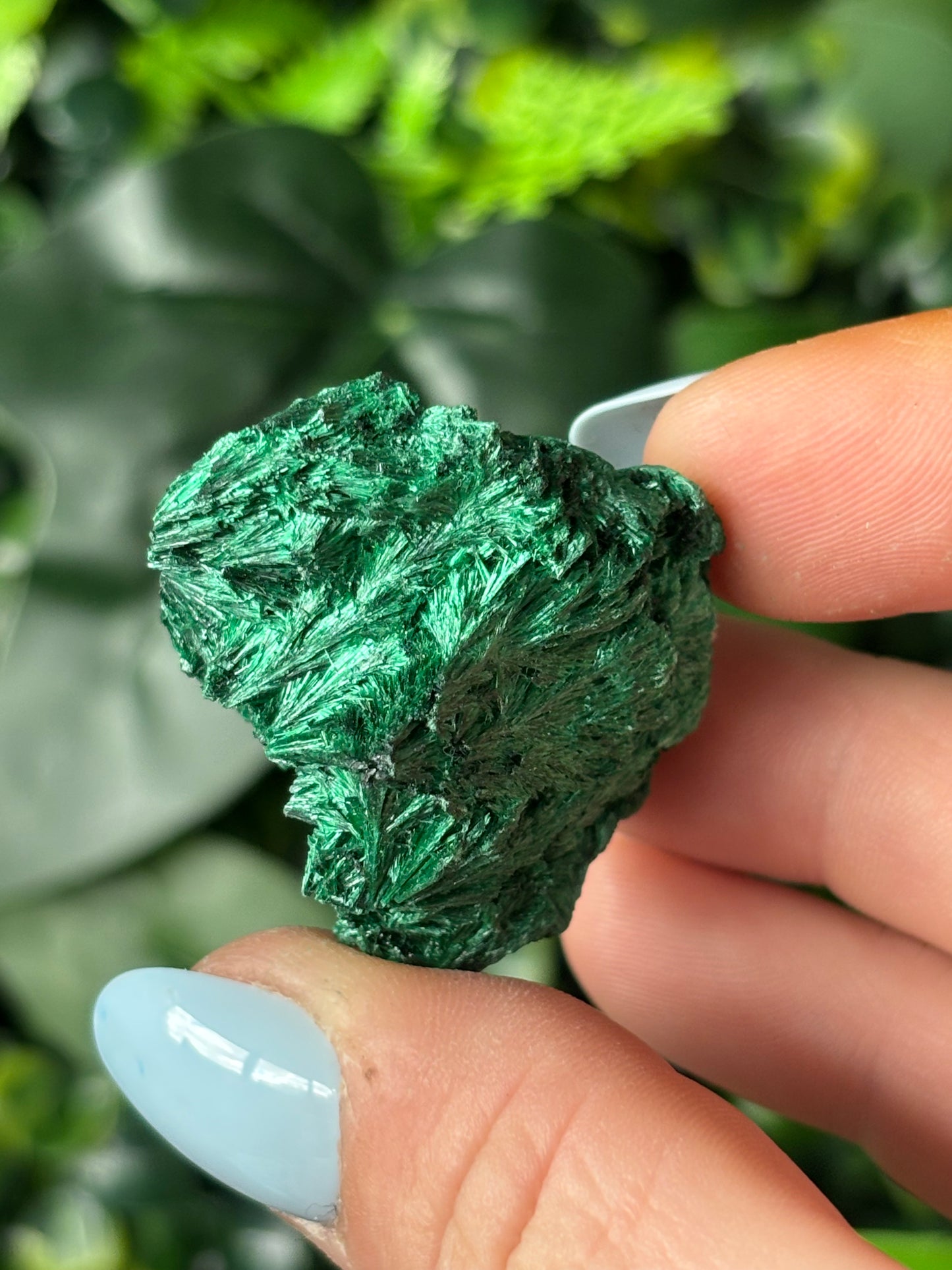 Fibrous Malachite