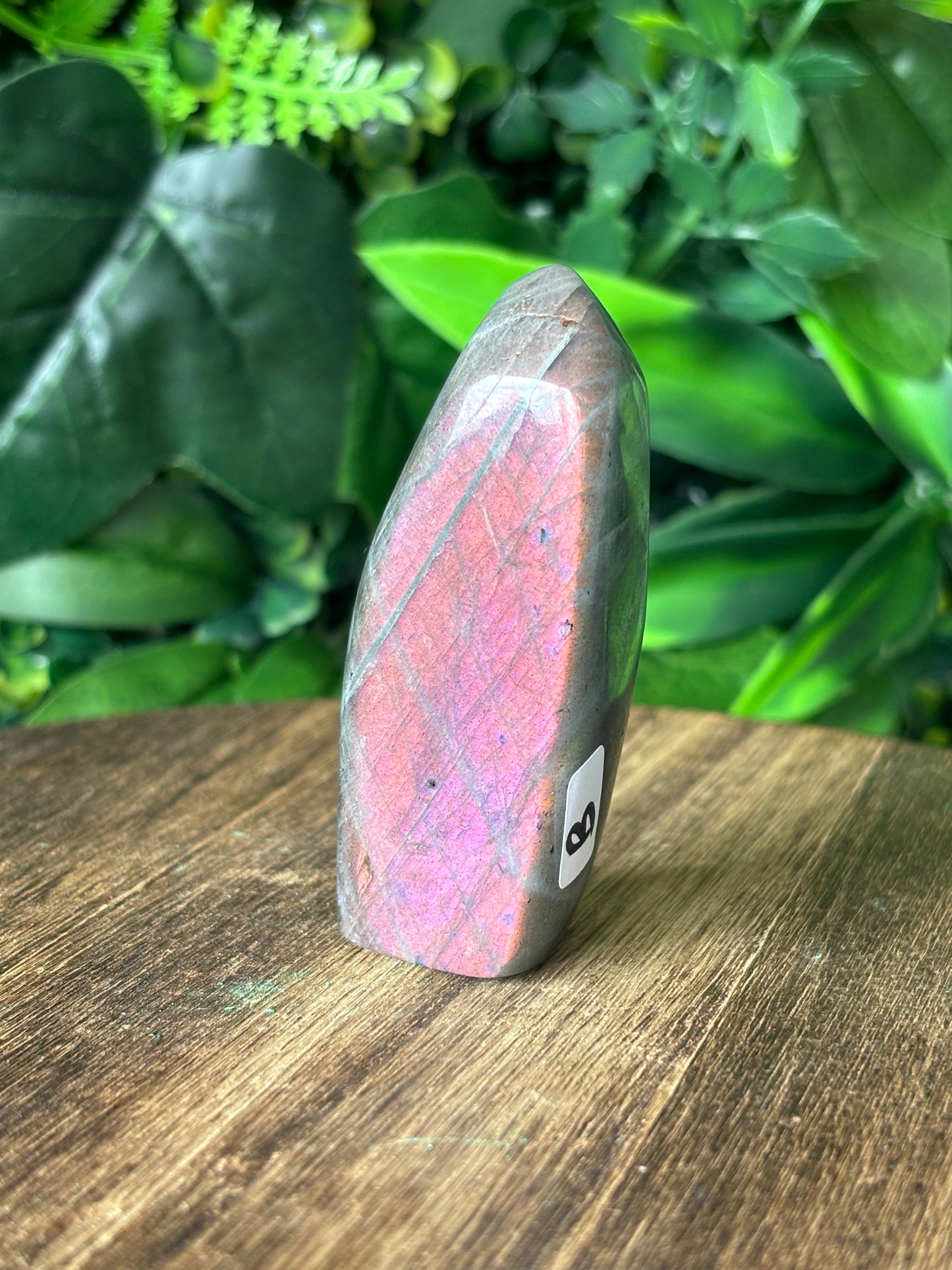 Purple flash Labradorite freeforms