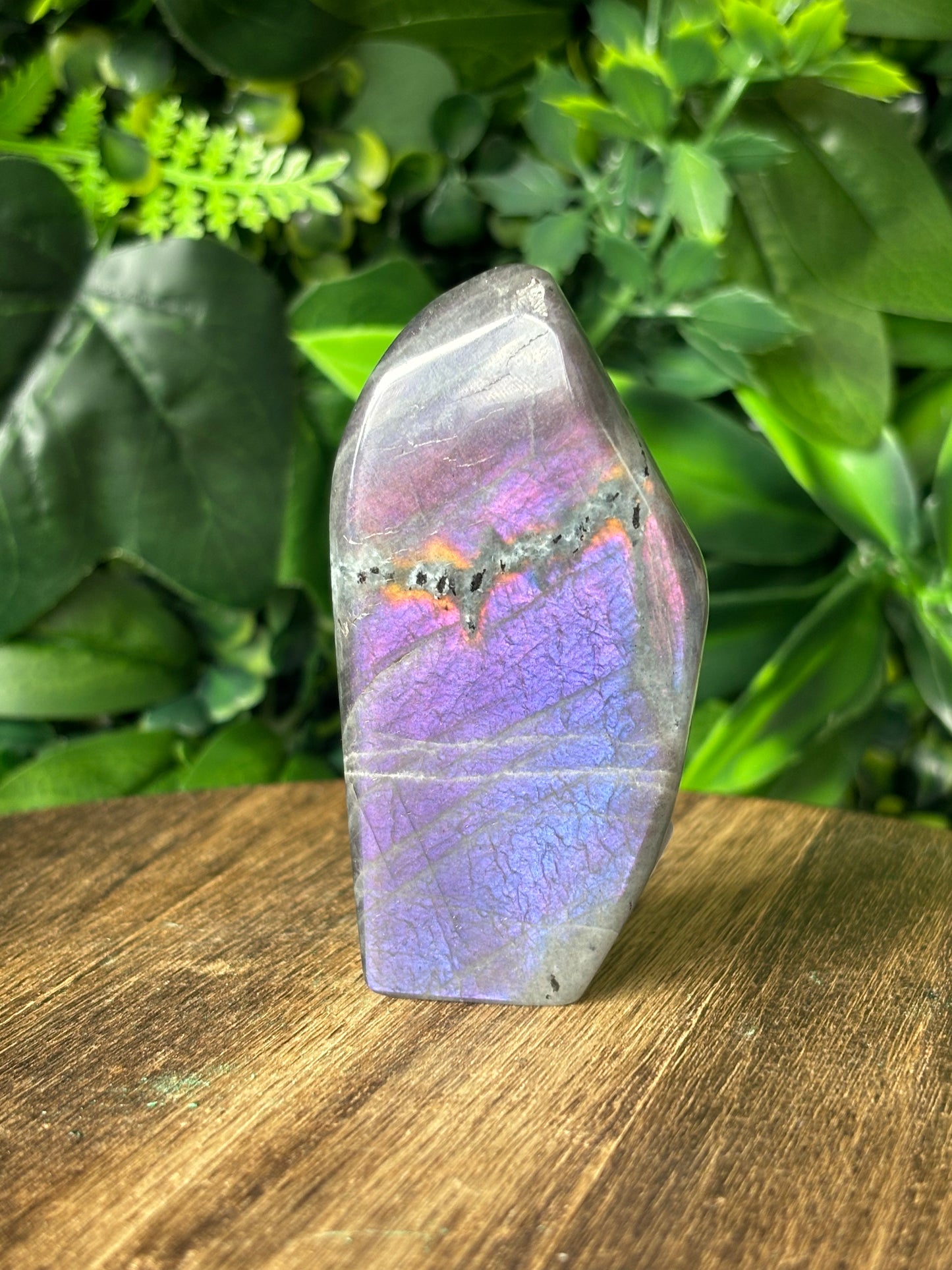 Purple flash Labradorite freeforms