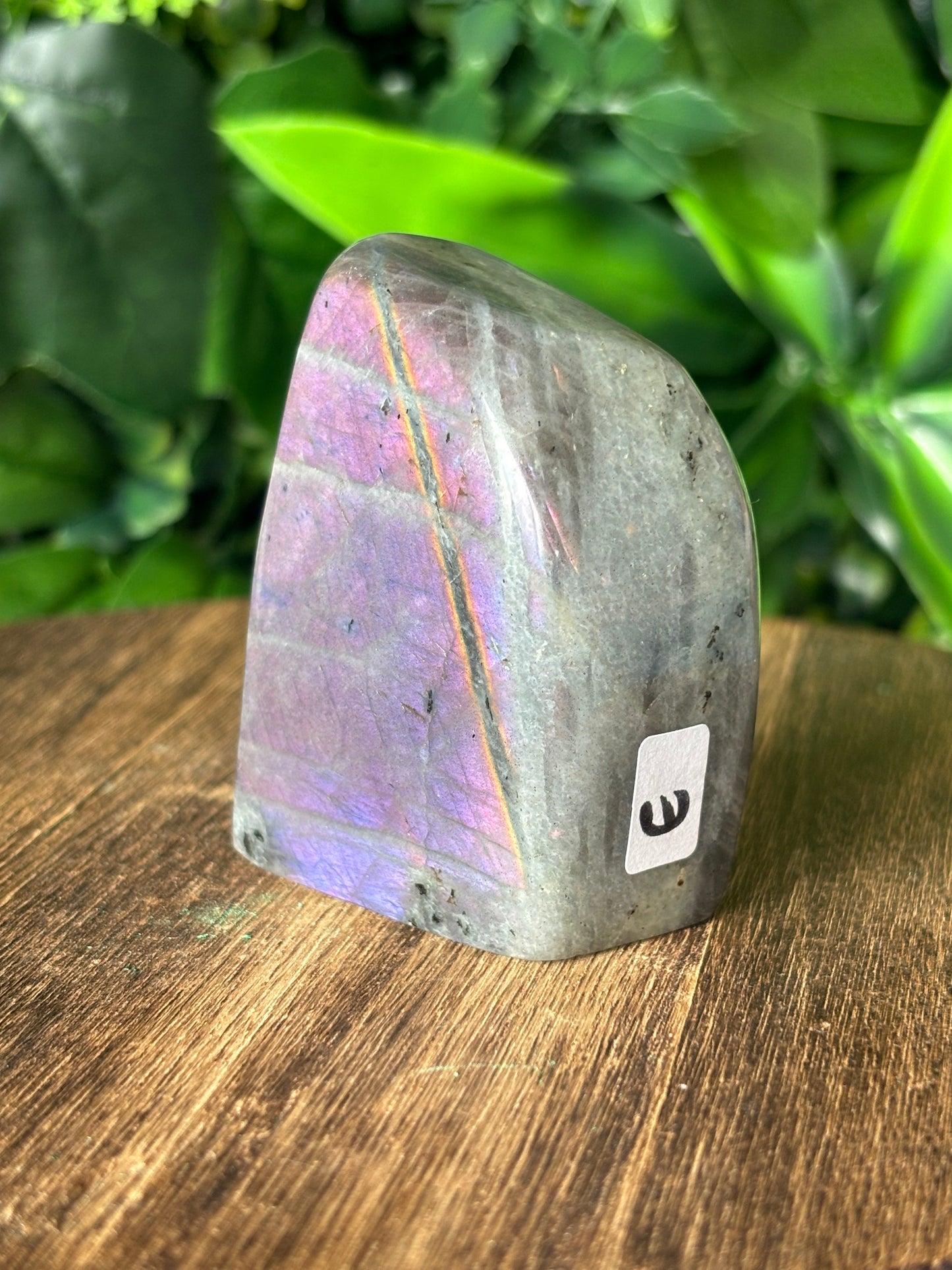 Purple flash Labradorite freeforms