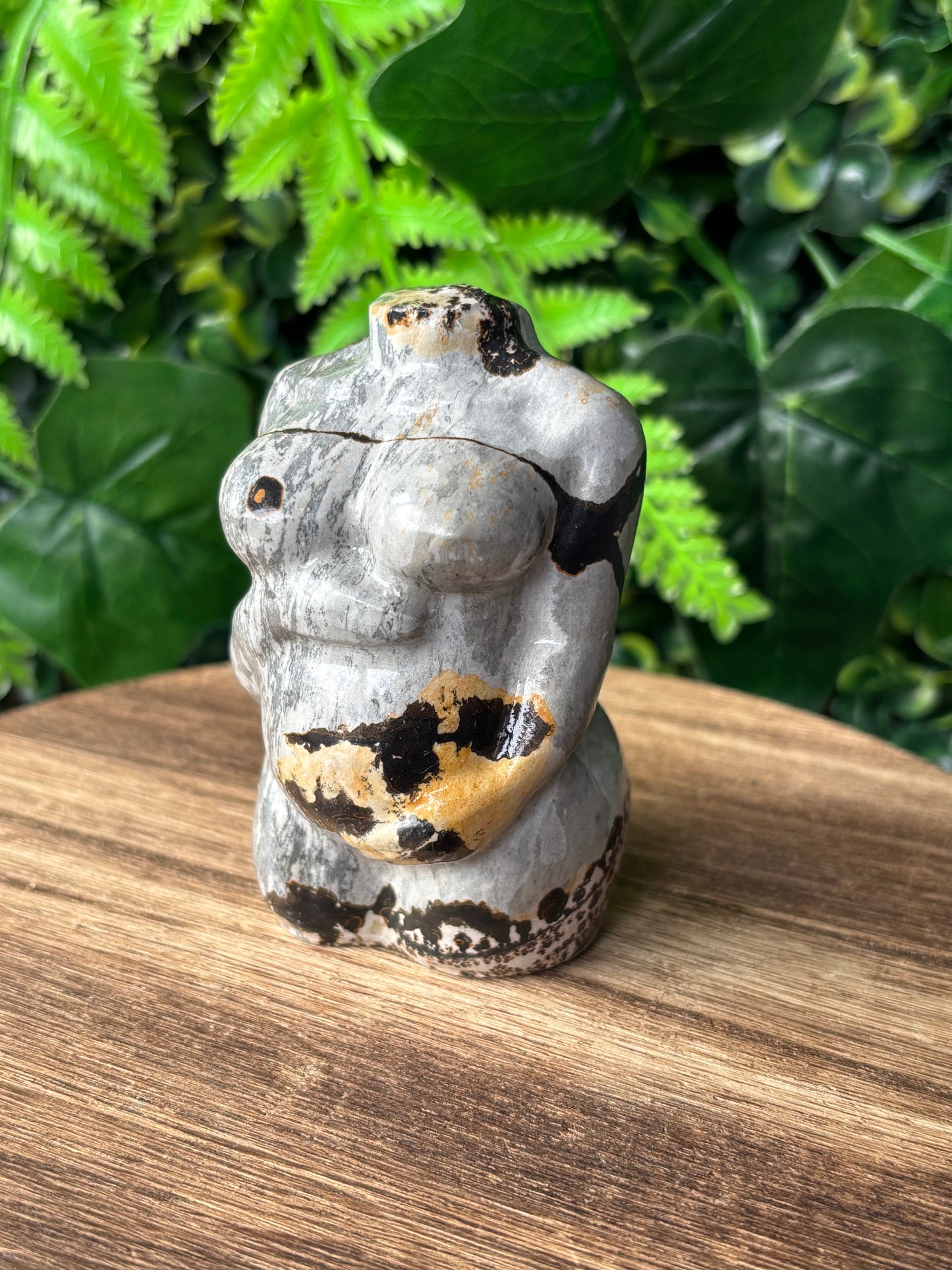 Picture Jasper pregnant lady