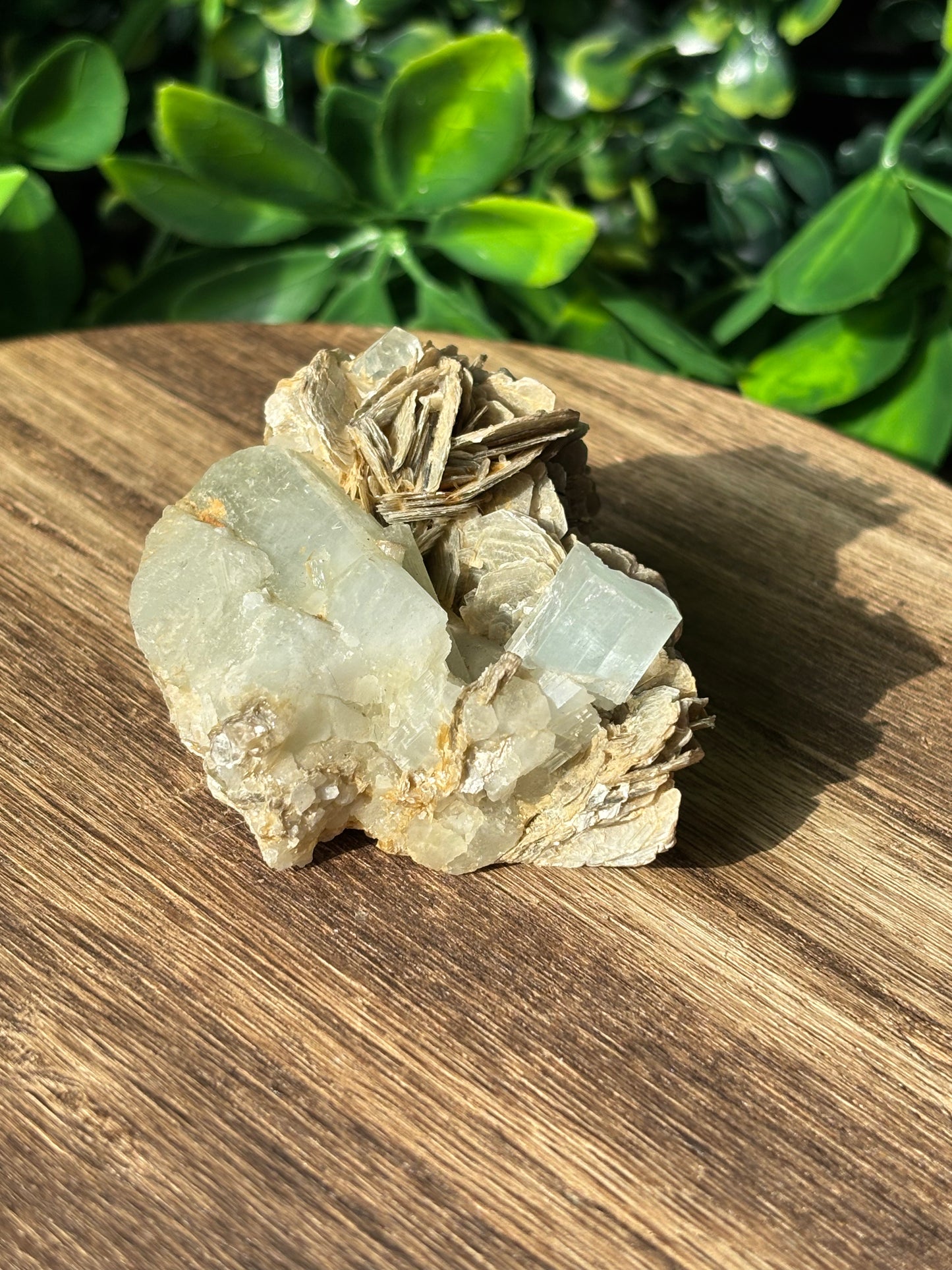 Aquamarine in Muscovite Mica