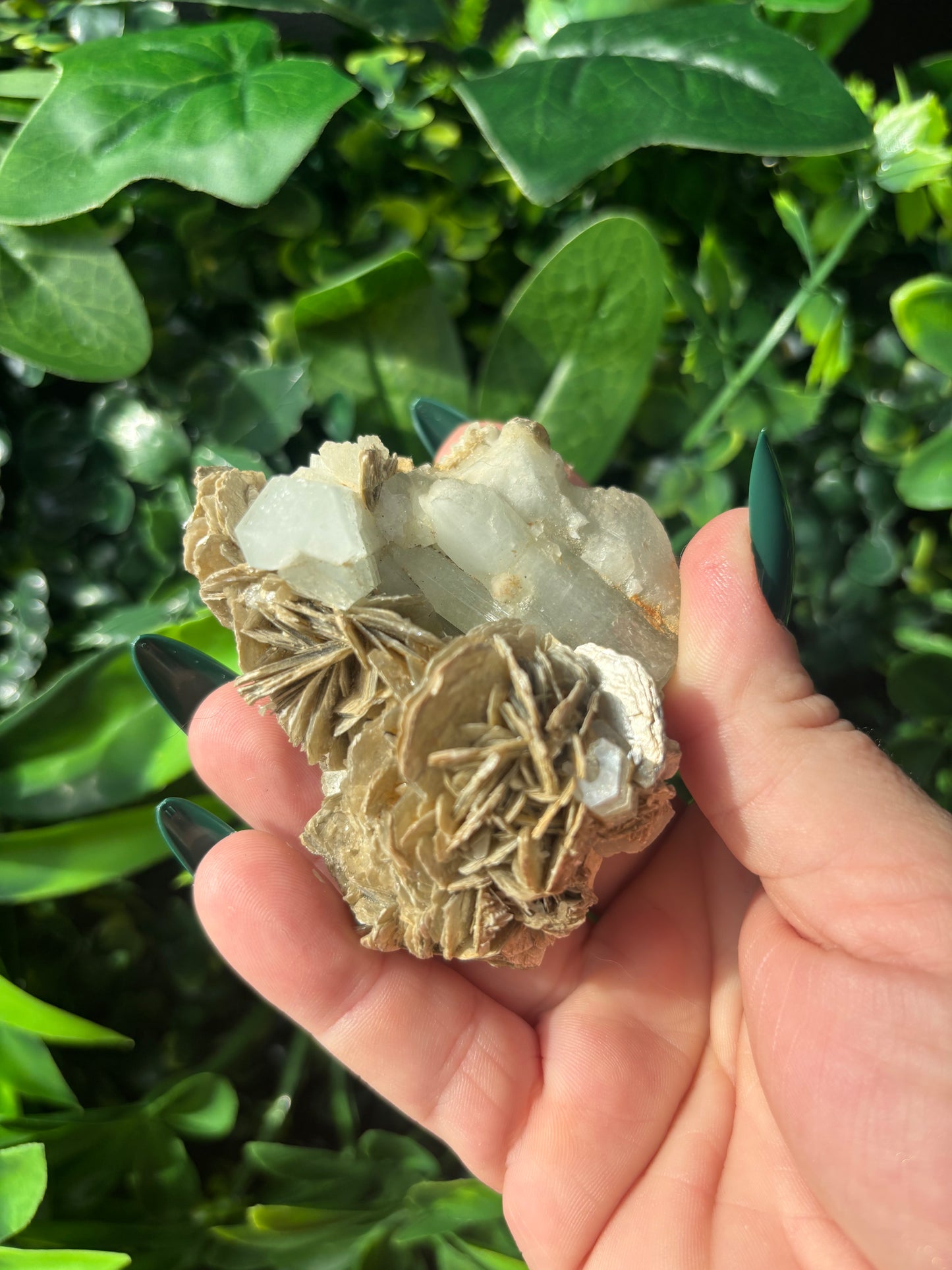 Aquamarine in Muscovite Mica