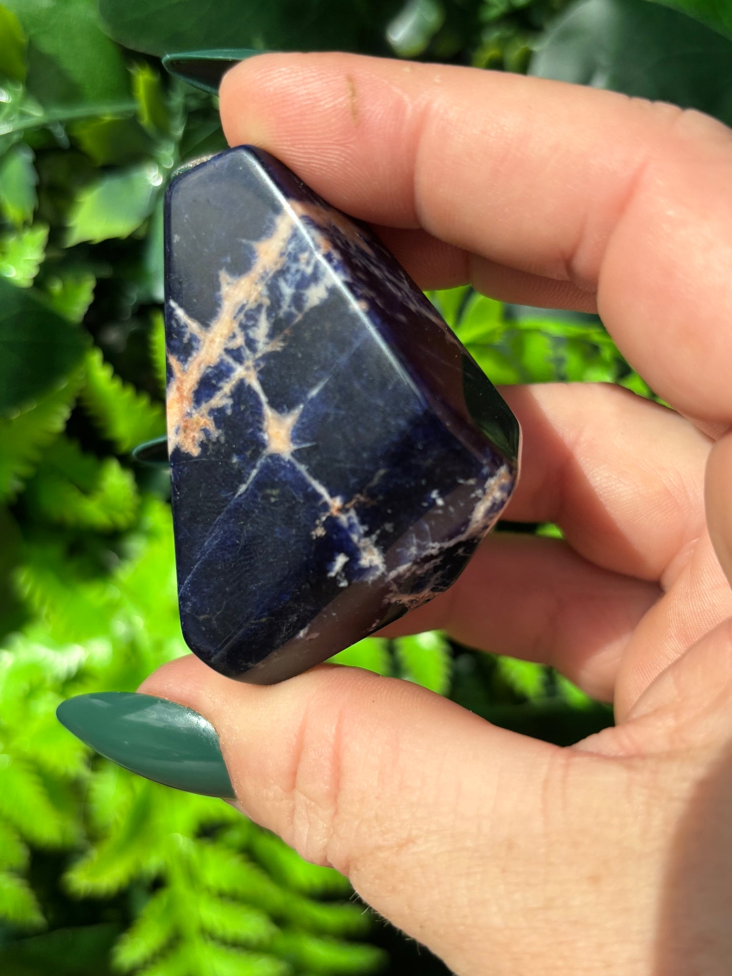 Sodalite free forms